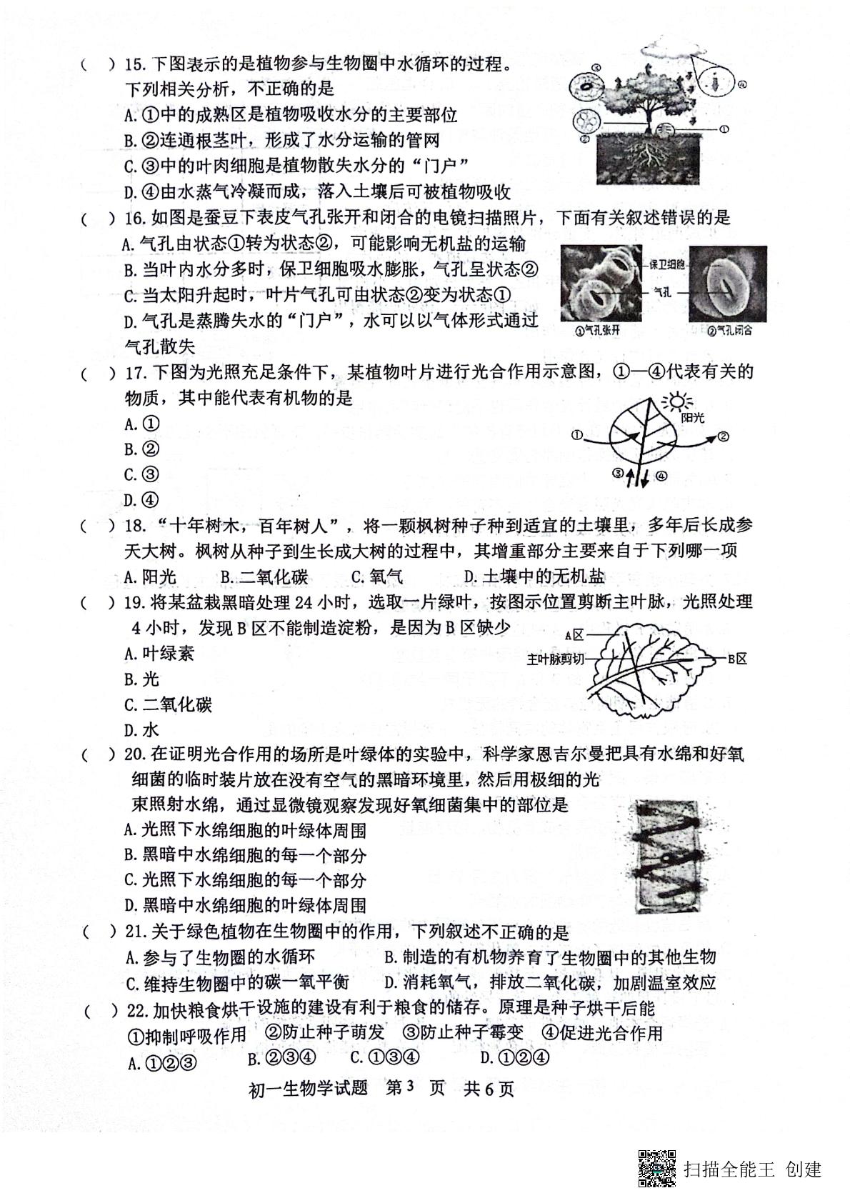 山东省淄博市淄川区2023-2024学年六年级下学期生物期末试题