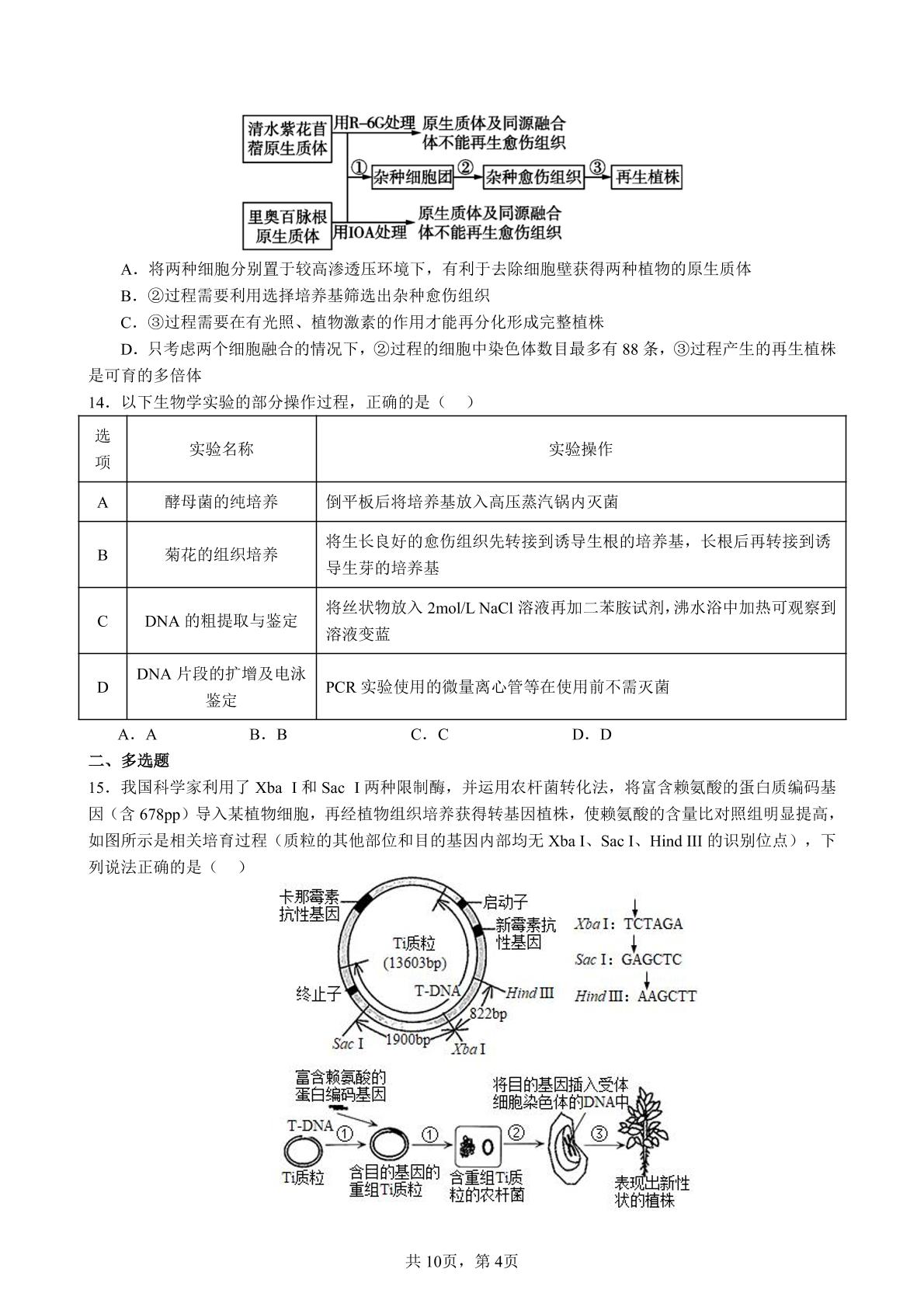 江苏省仪征市仪征中学2023-2024学年高二下学期4月期中联考生物试题