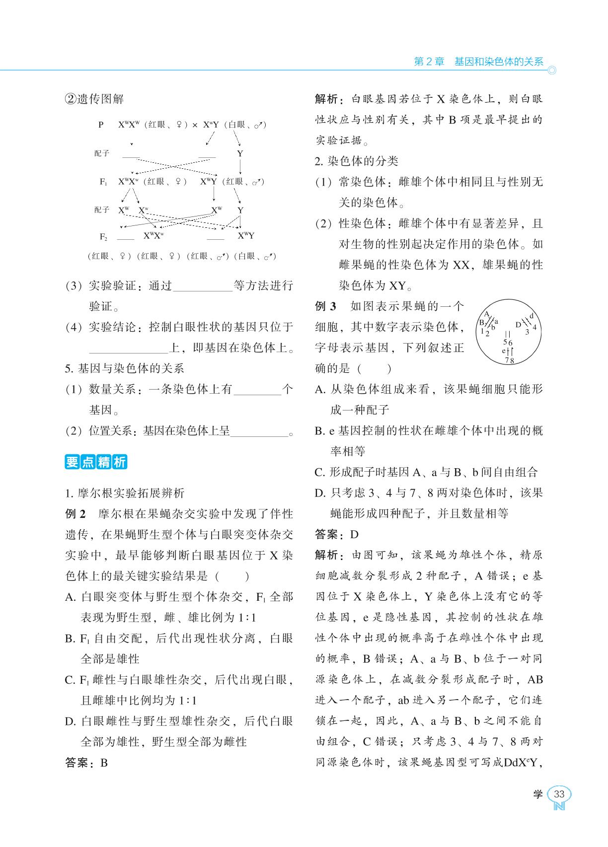2.2 基因在染色体上-【新课程能力培养】2024-2025学年高中生物必修2 遗传与进化学习手册（人教版2019）