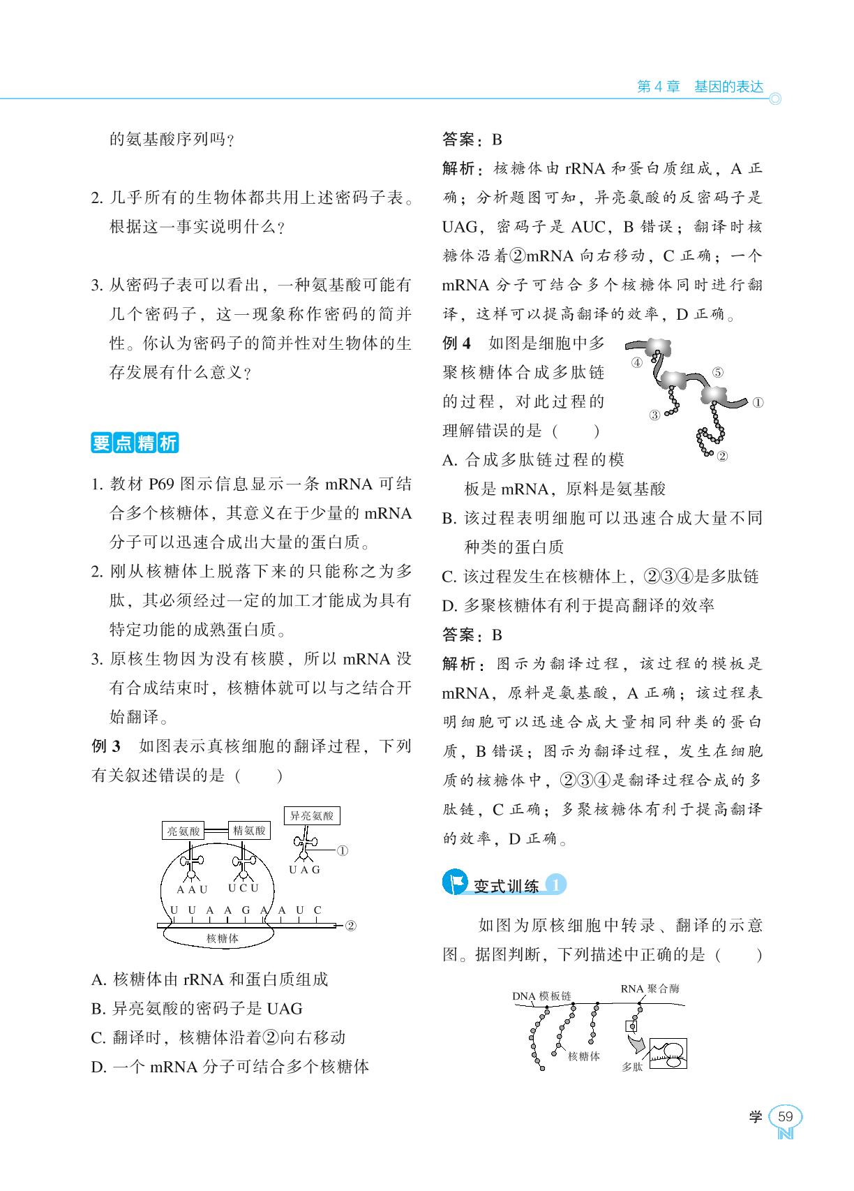 4.1 基因指导蛋白质的合成-【新课程能力培养】2024-2025学年高中生物必修2 遗传与进化学习手册（人教版2019）