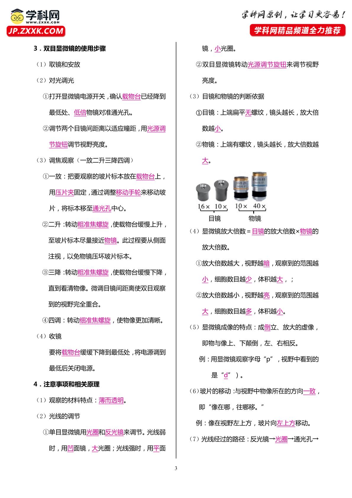 归纳01 认识生物+认识细胞-【知识手册】新教材七年级生物上册知识点归纳（人教版2024）