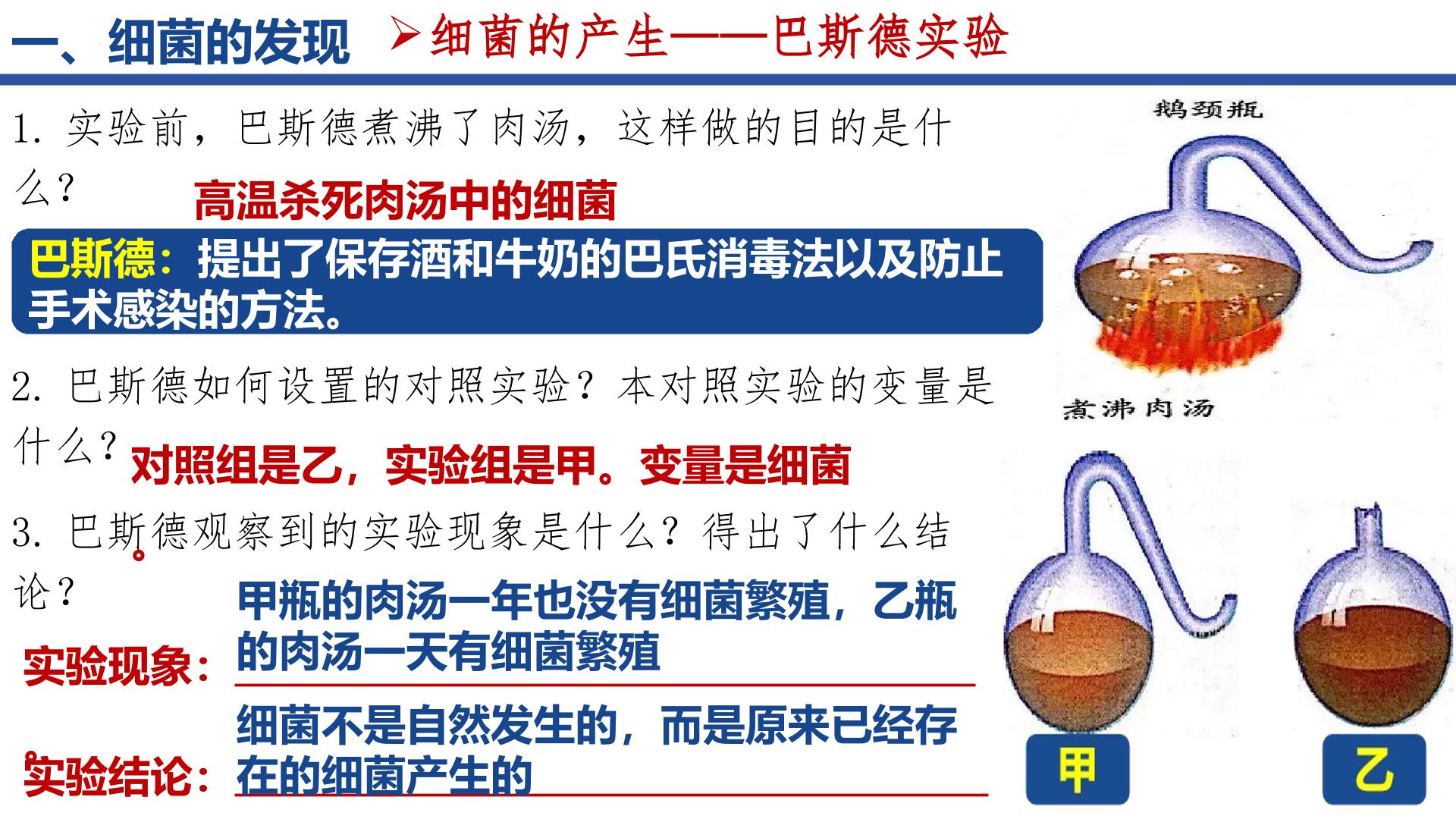 5.4.2  细菌（精美课件）-2024-2025学年八年级生物上册同步精美课件+教案（人教版）