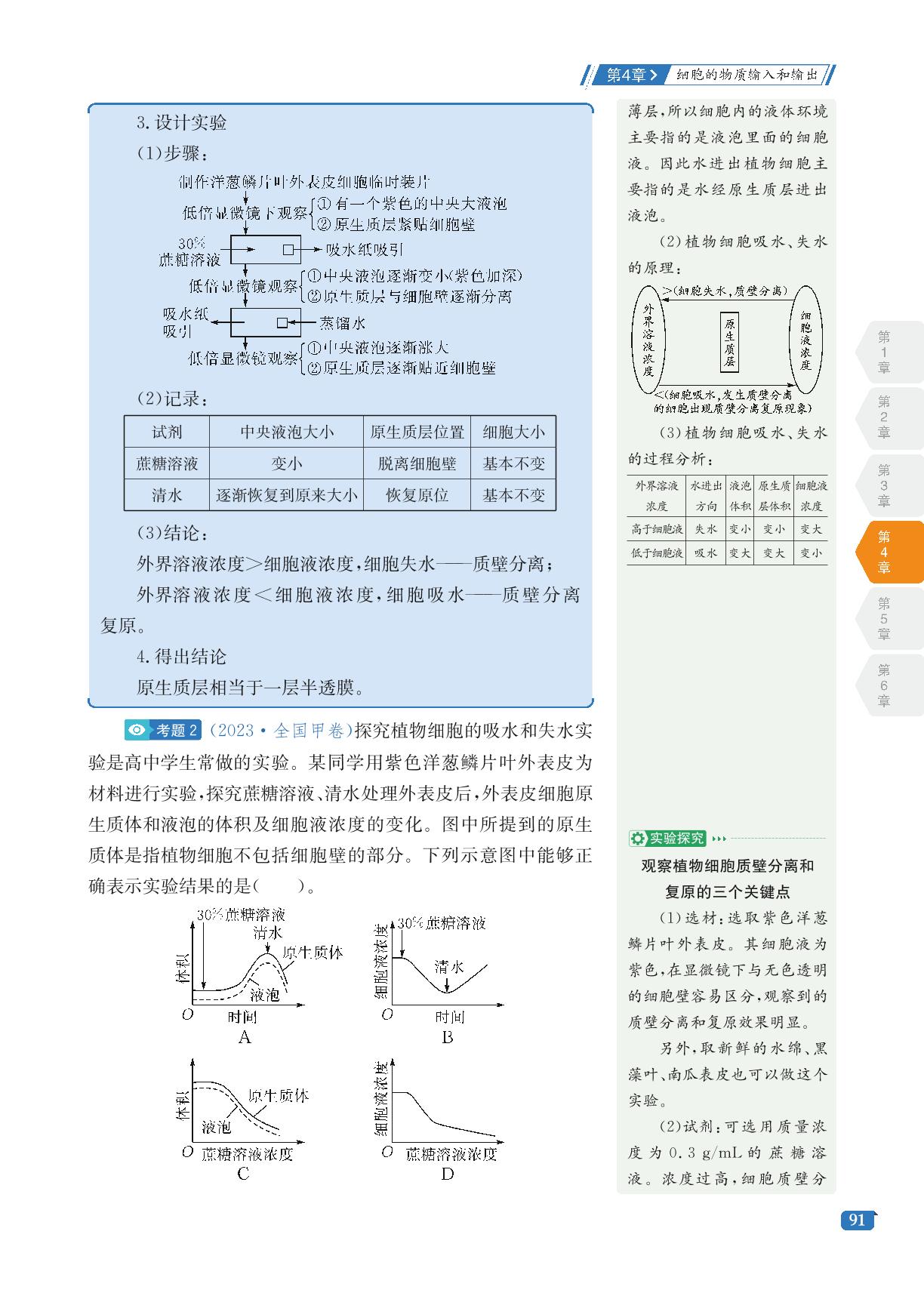 第1讲 被动运输-【考点同步解读】2024-2025学年高中生物必修1 分子与细胞（人教版2019）