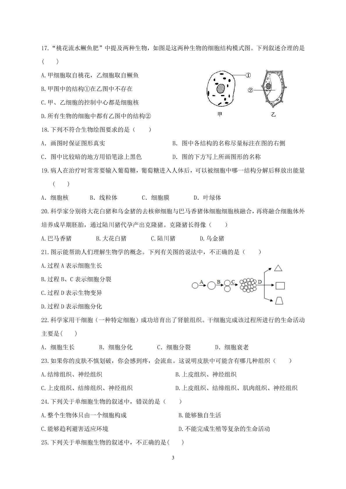 湖南省祁东县二中教育集团清源中学2024-2025学年七年级上学期期中考试生物试题