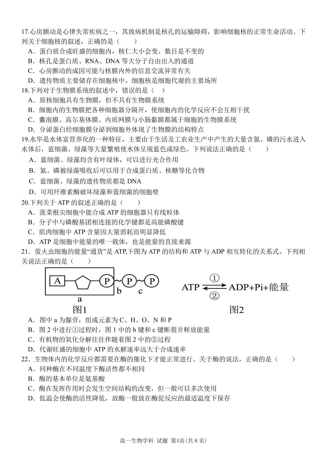 浙江省台州市台州十校联考2024-2025学年高一上学期期中考试生物试题