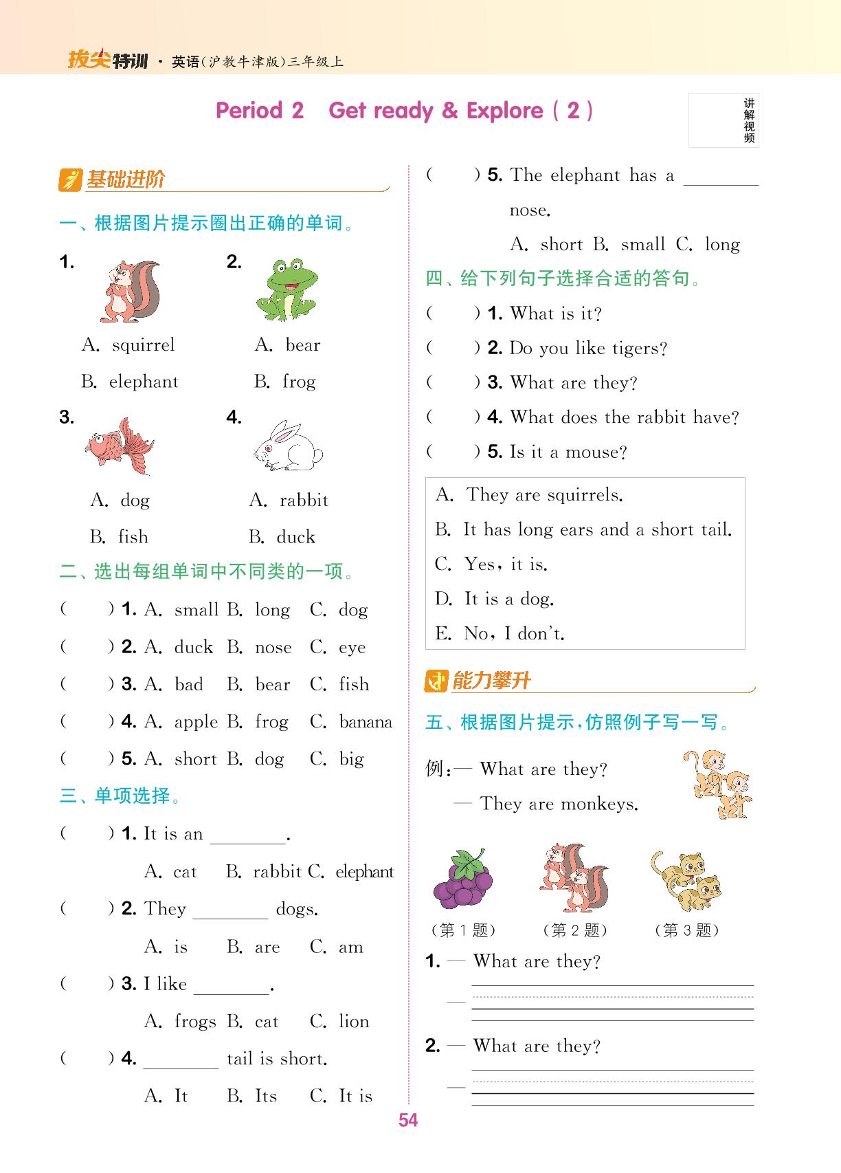 Unit 6 What do we like about small animals（无听力音频）-【拔尖特训】2024-2025学年新教材三年级上册英语（沪教版 2024）