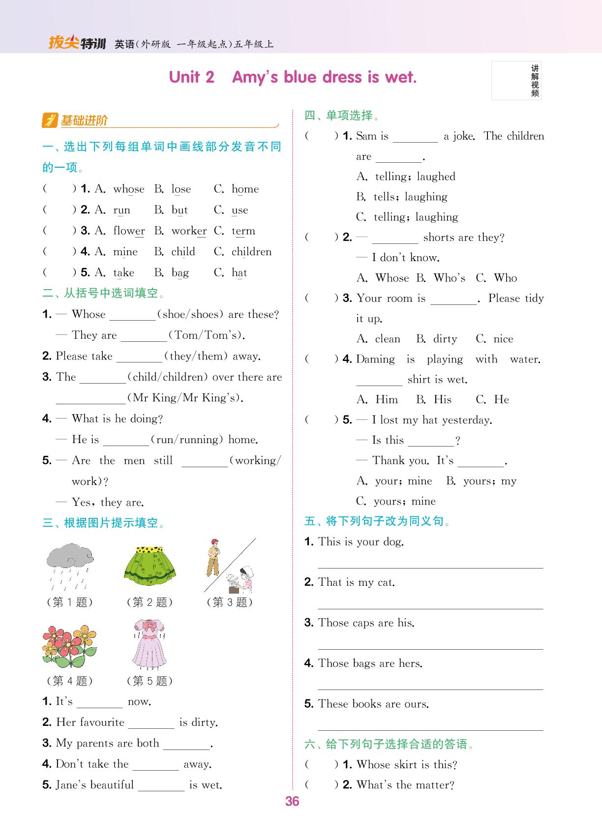 Module 5（无听力音频）-【拔尖特训】2024-2025学年五年级上册英语（外研版 一起）