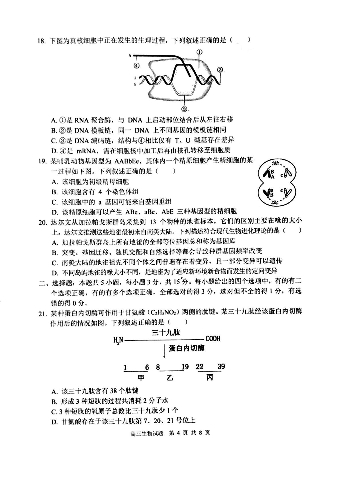 河南省周口市鹿邑县2024-2025学年高三上学期11月期中生物试题