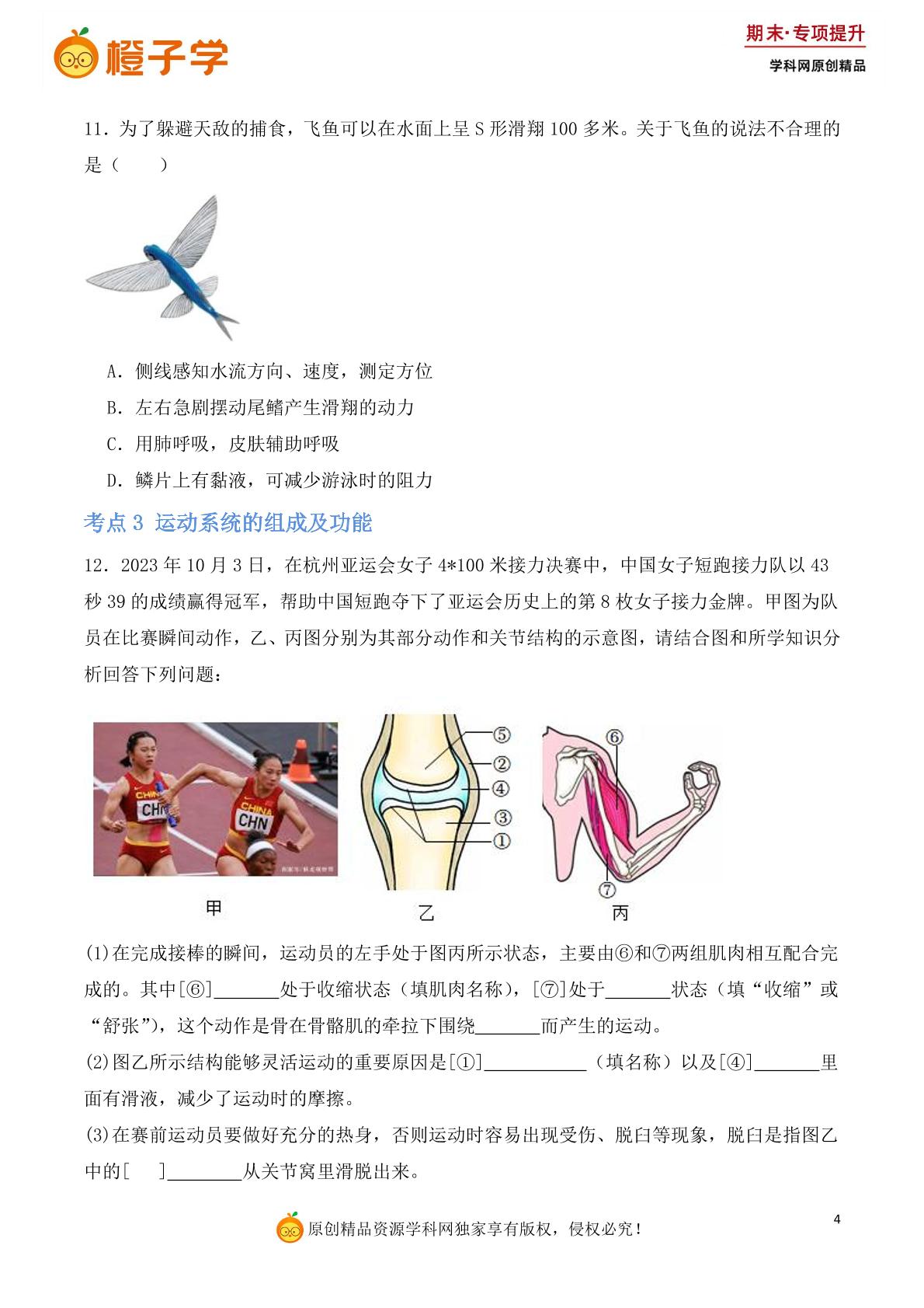 高频考点练（八年级上册）-人教版八年级上册期末专项（初中生物）
