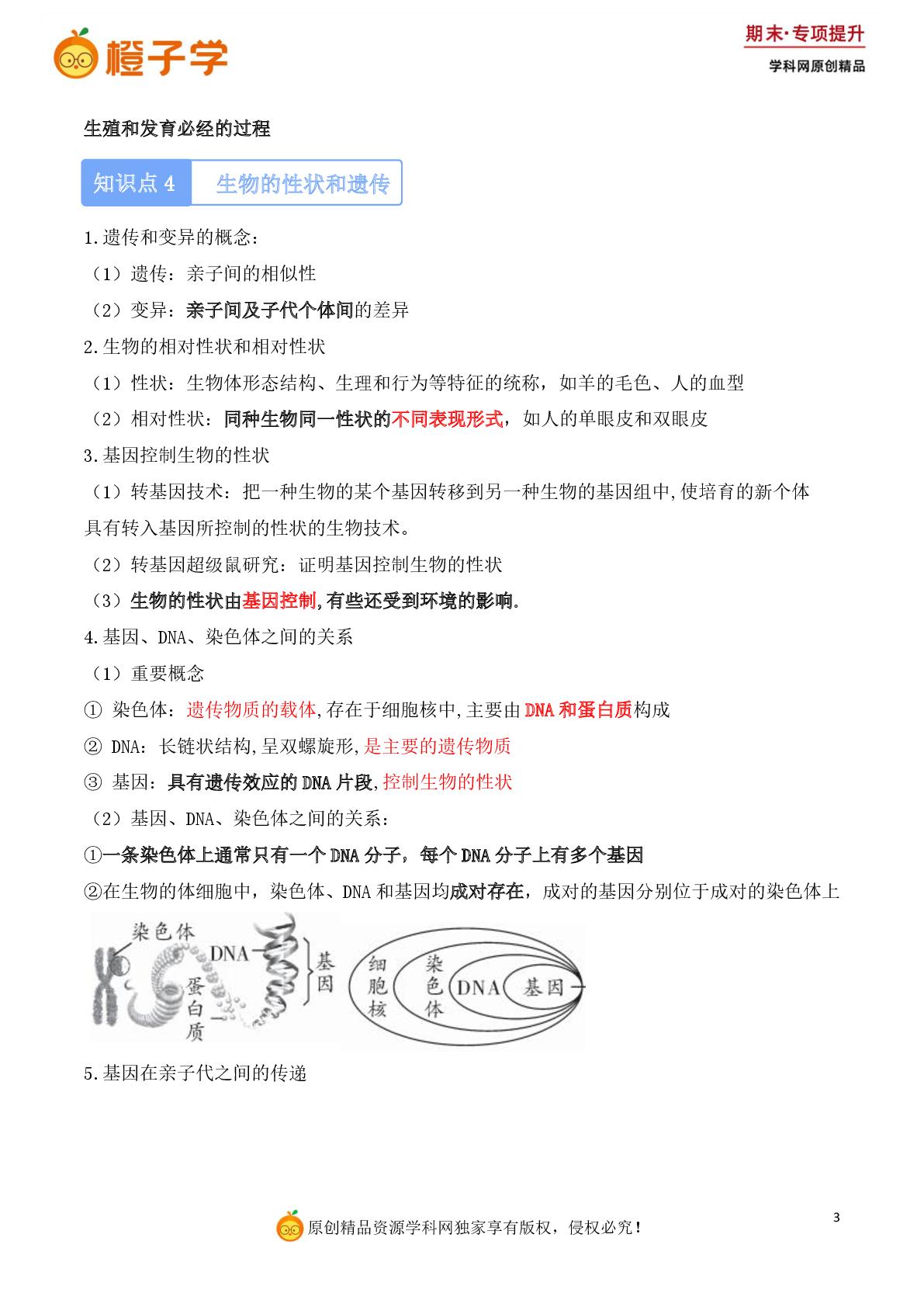 专项 必背知识清单（八年级下册）-鲁科版（五四学制）八年级上册期末专项（初中生物）