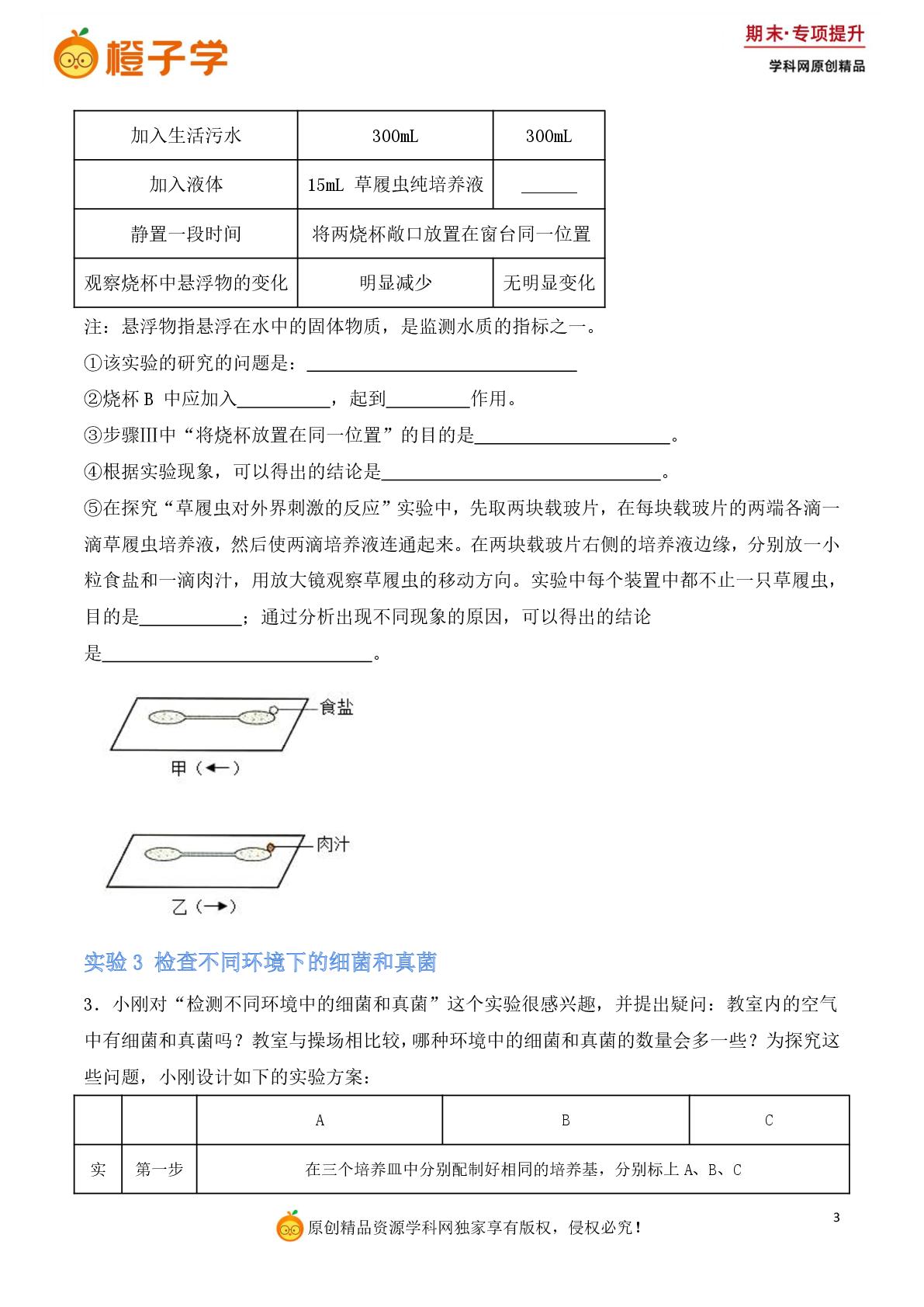 专项1 实验探究-冀少版七年级上册期末专项（初中生物）