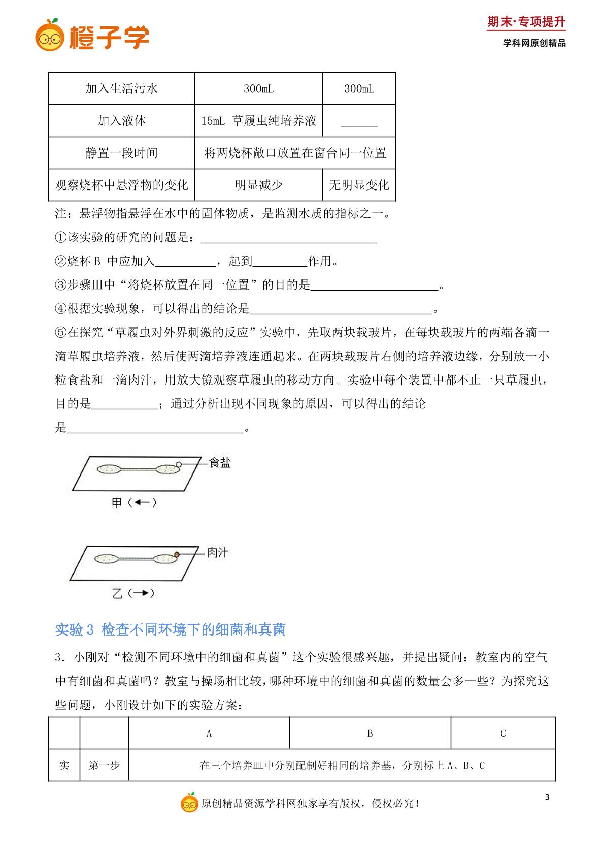 专项1 实验探究-人教版七年级上册期末专项（初中生物）