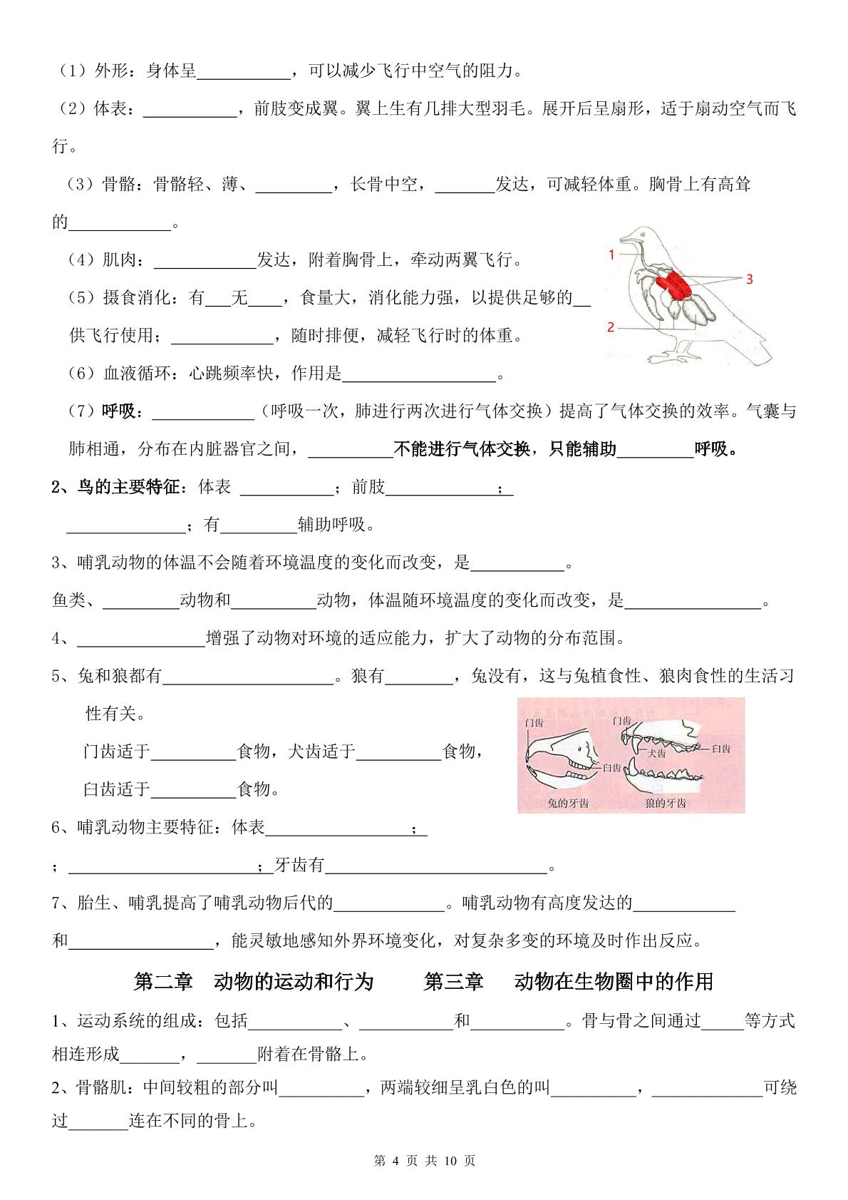 人教版八年级上册核心考点必记-2024-2025学年八年级生物上学期期末考点大串讲（人教版）