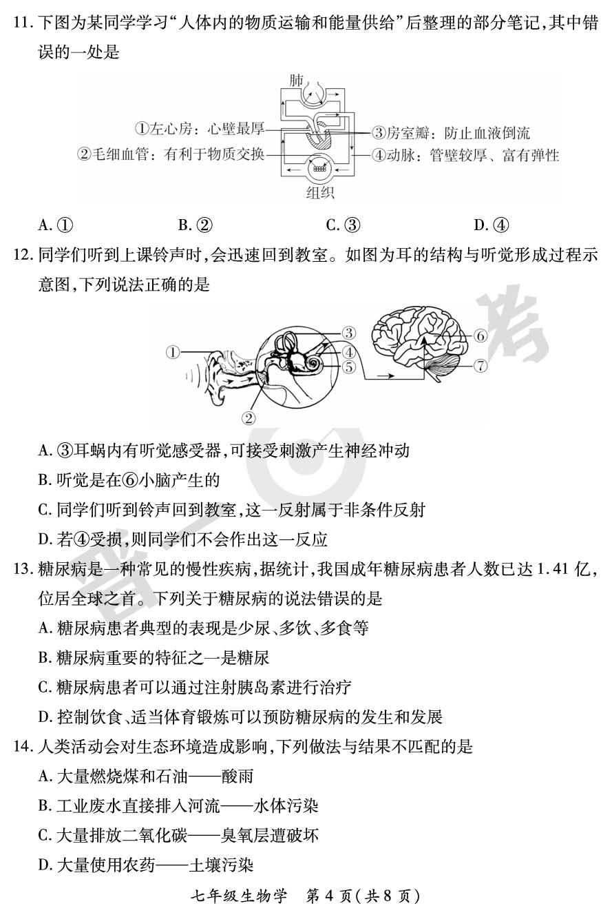 【晋一原创测评】山西省2023-2024学年下学期七年级期末质量监测生物学试卷 （苏教版）