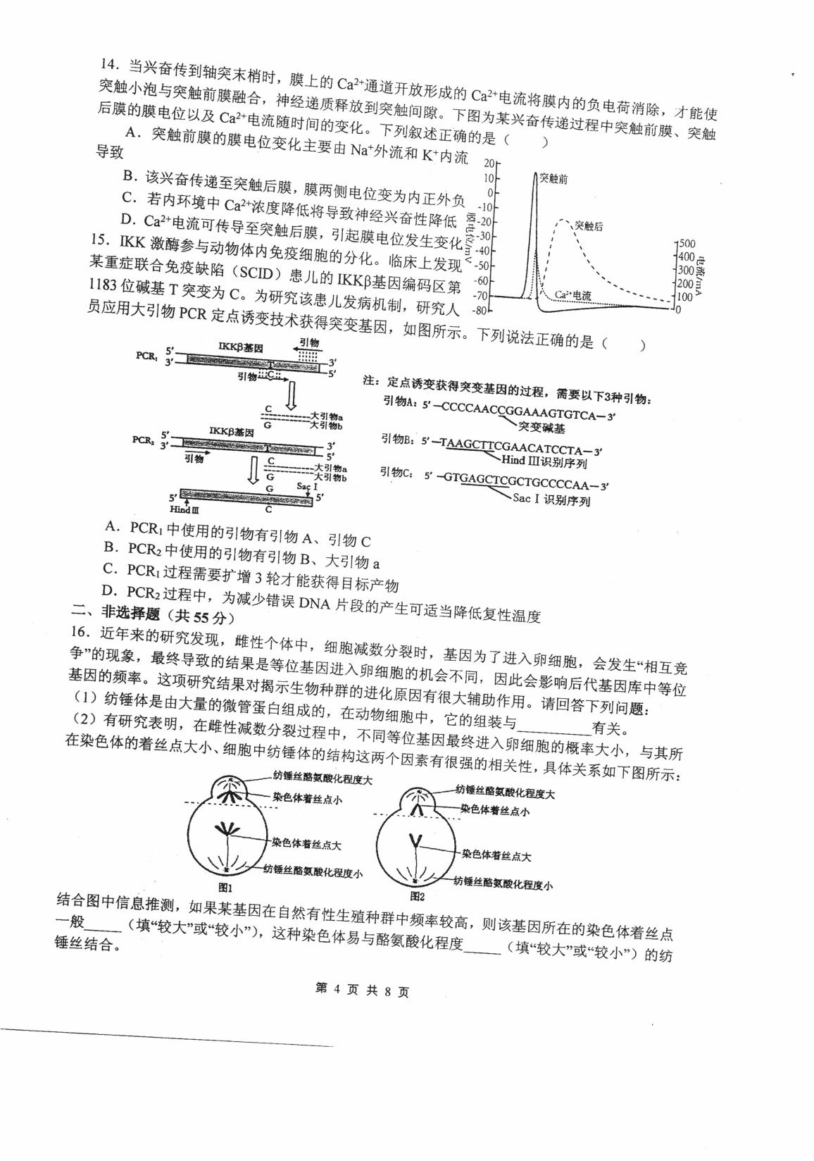 四川省绵阳市绵阳中学2024-2025学年高三上学期12月月考生物试题