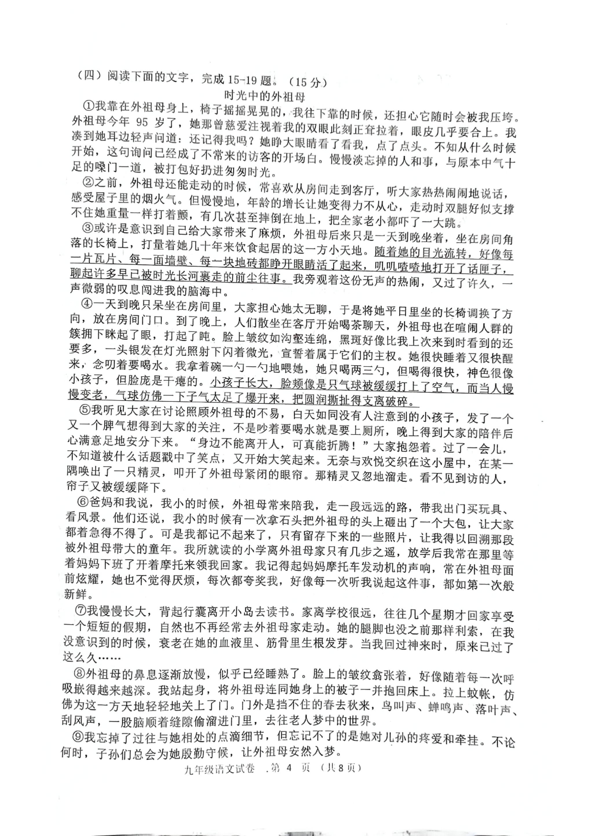 吉林省长春市公主岭市2024-2025学年九年级上学期期末语文试题