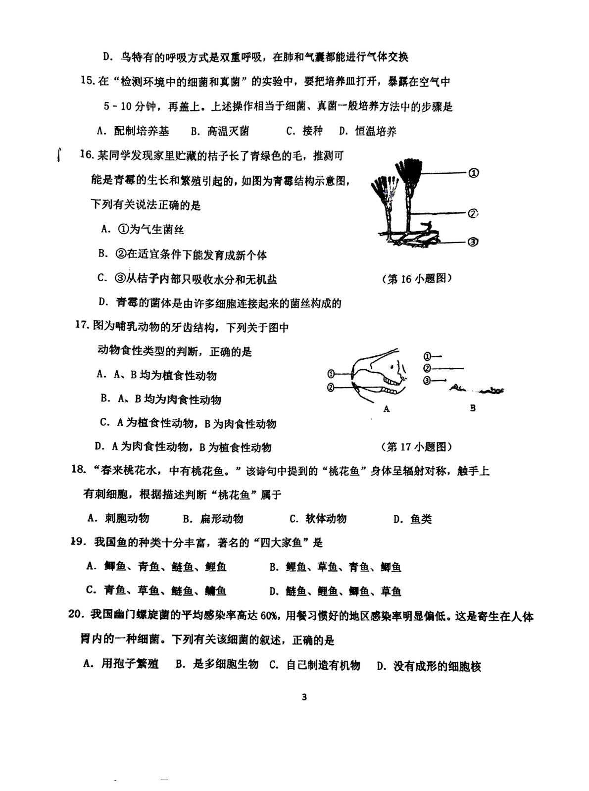 吉林省吉林市第七中学2024-2025学年七年级上学期期末考试生物试卷