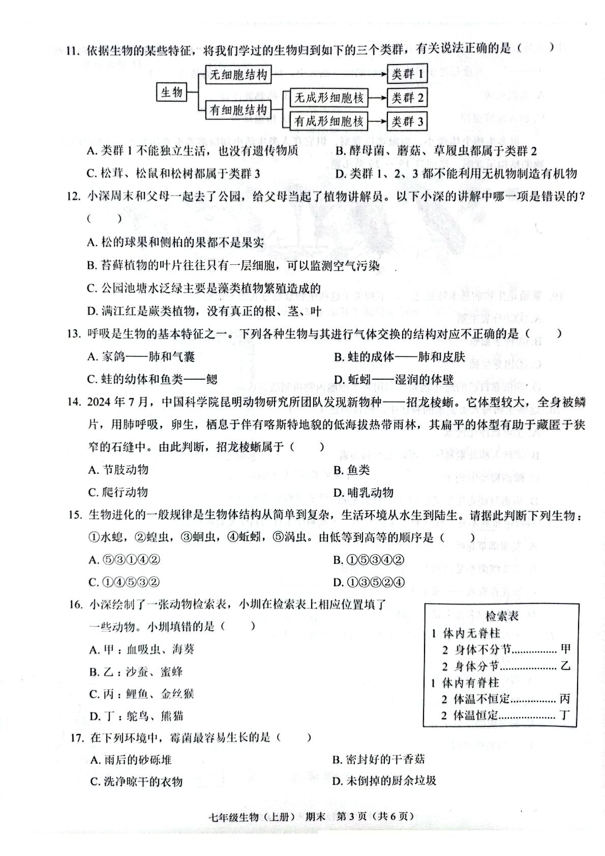 广东省深圳市龙岗区宏扬学校2024-2025学年七年级上学期12月期末生物试题