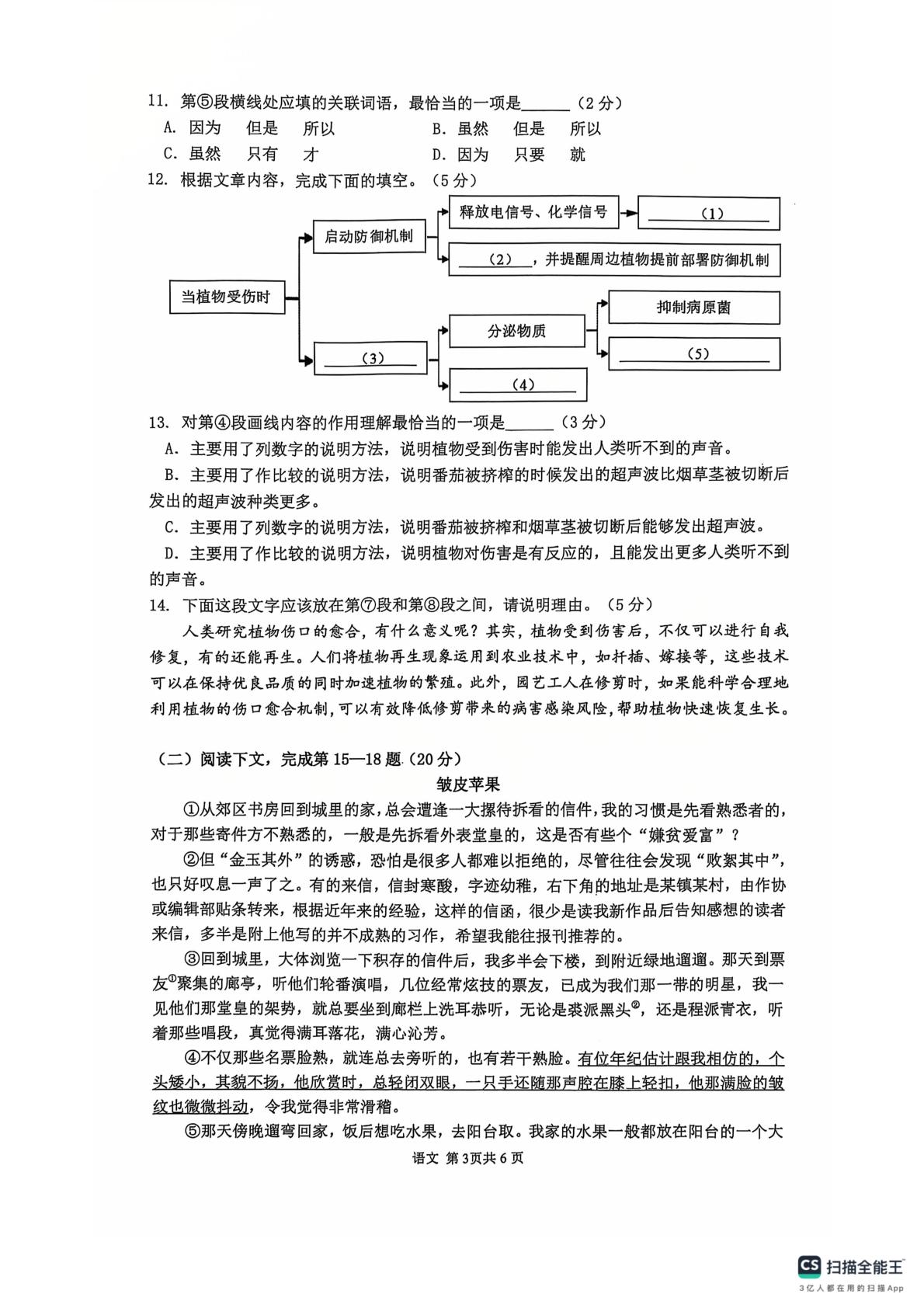 上海市奉贤区2024-2025学年九年级上学期期末（一模）语文试题