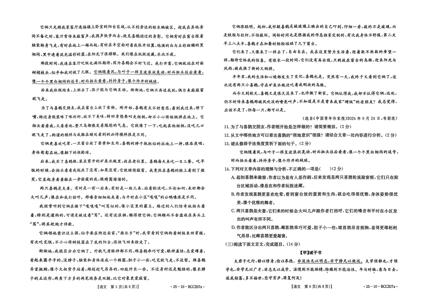 甘肃省定西市临洮县2024-2025学年七年级上学期1月期末语文试题