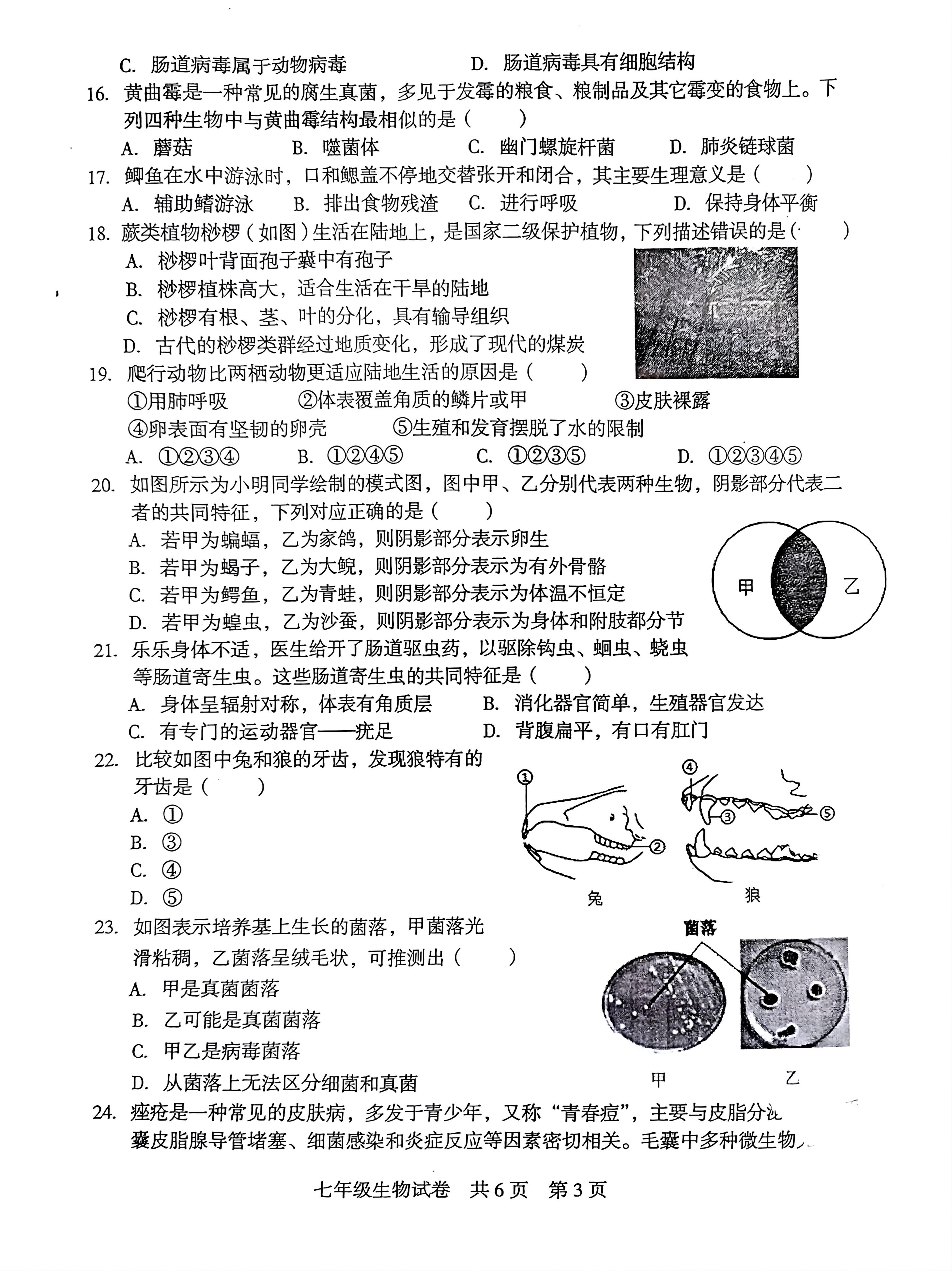 湖南省娄底市2024-2025学年七年级上学期期末生物试题