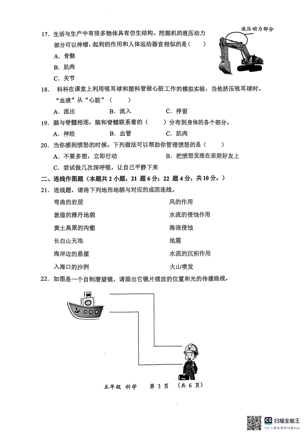 广东省深圳市罗湖区2024-2025学年五年级上学期1月期末科学试题