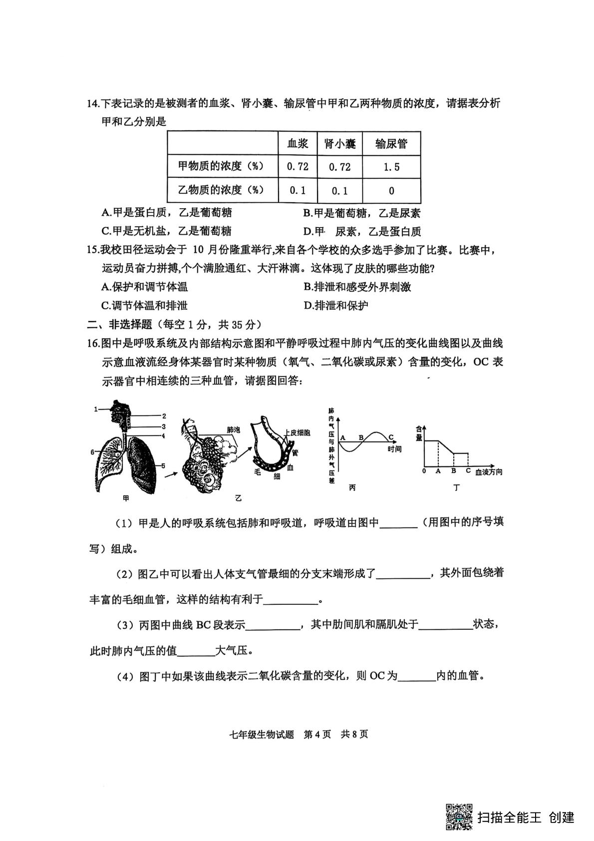 山东省泰安市宁阳县2024-2025学年七年级上学期期末考试生物试题