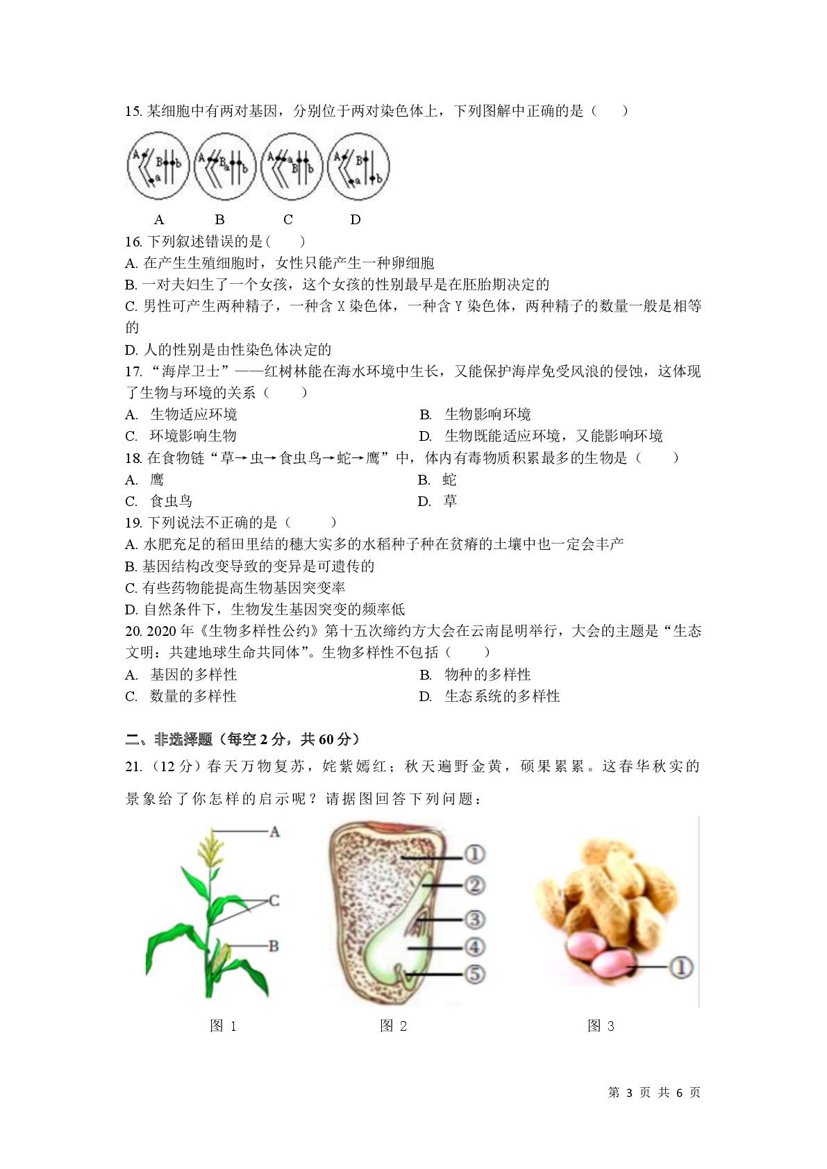 四川省广安友谊中学2024-2025 学年八年级上学期期末检测生物试题