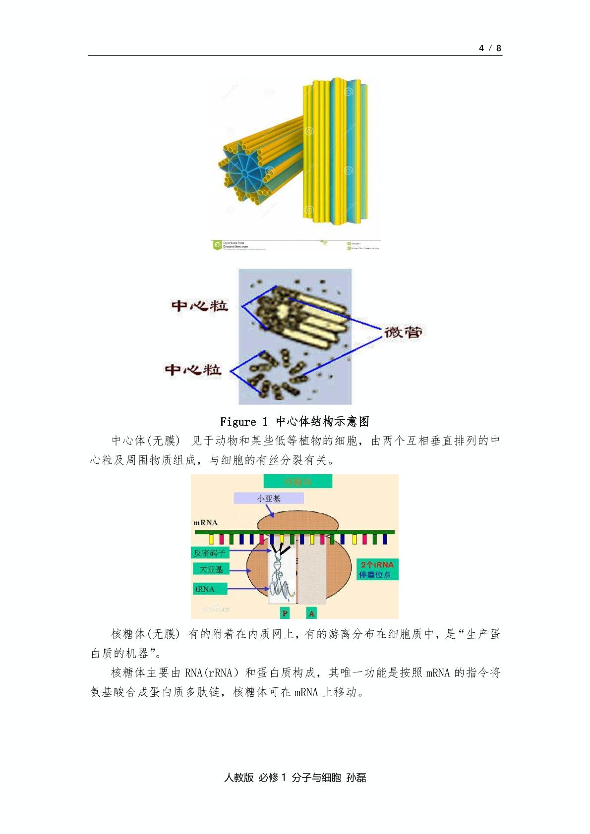 1.3.2 细胞器——系统内的分工合作-知识PDF