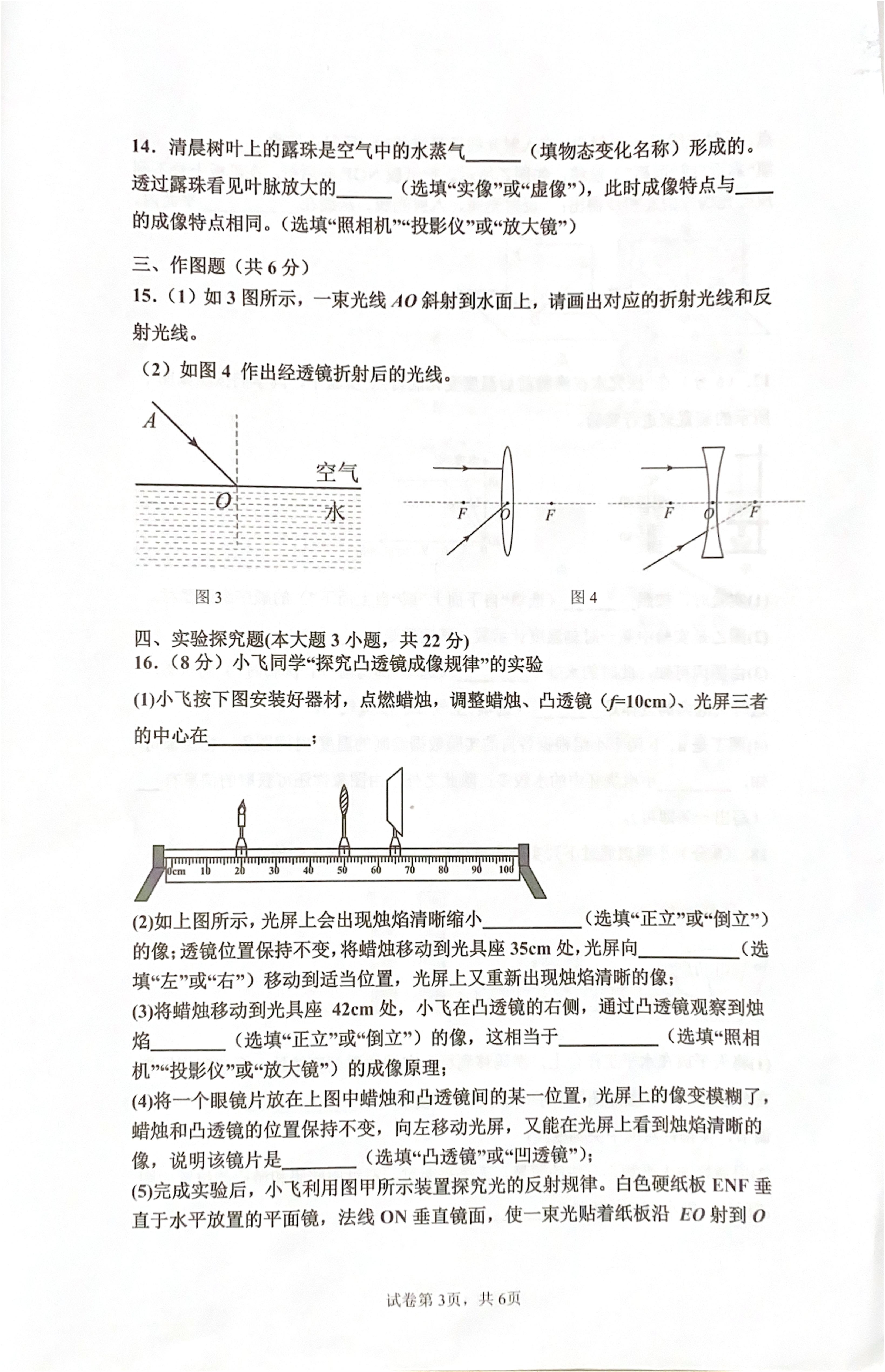 广东省肇庆市四会市2024-2025学年八年级上学期期末考试物理试题