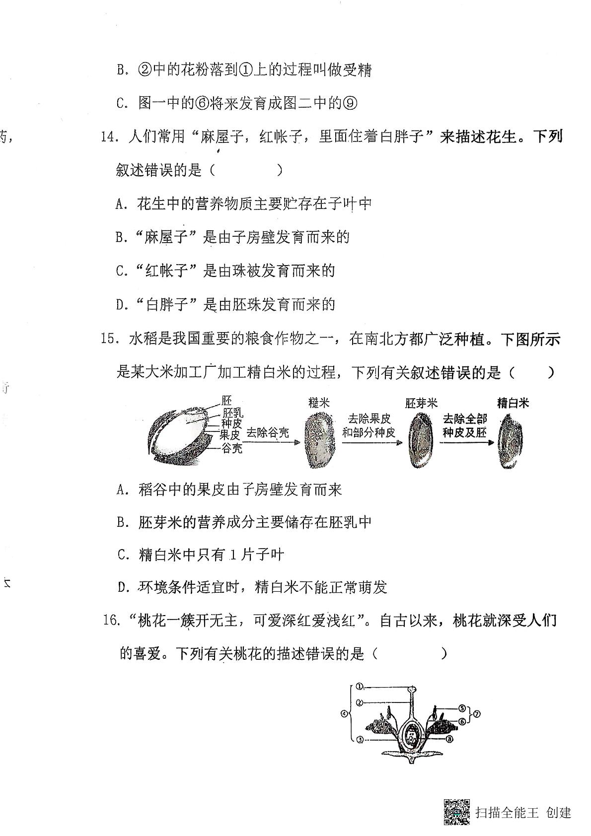 山东省聊城市阳谷县实验中学2024-2025学年七年级下学期开学生物试题