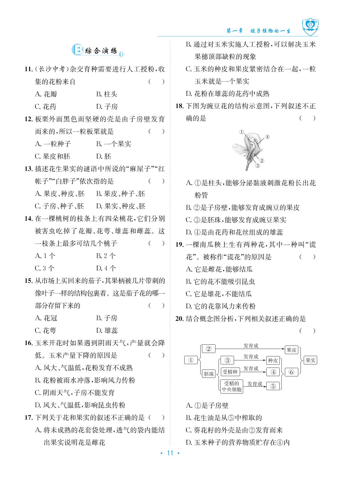 3.1.3 开花和结果&章末总结-【指南针·课堂优化】2024-2025学年新教材七年级下册生物（人教版2024）