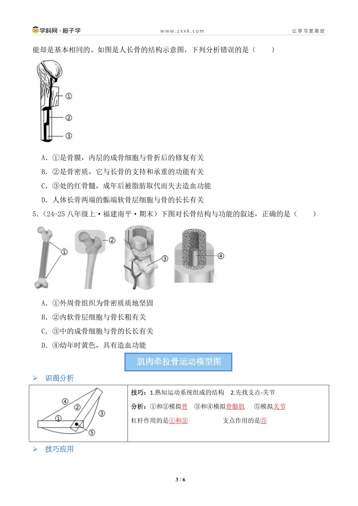专项 人体的运动常考图（提升练）-北师大版七年级下册同步练（初中生物）