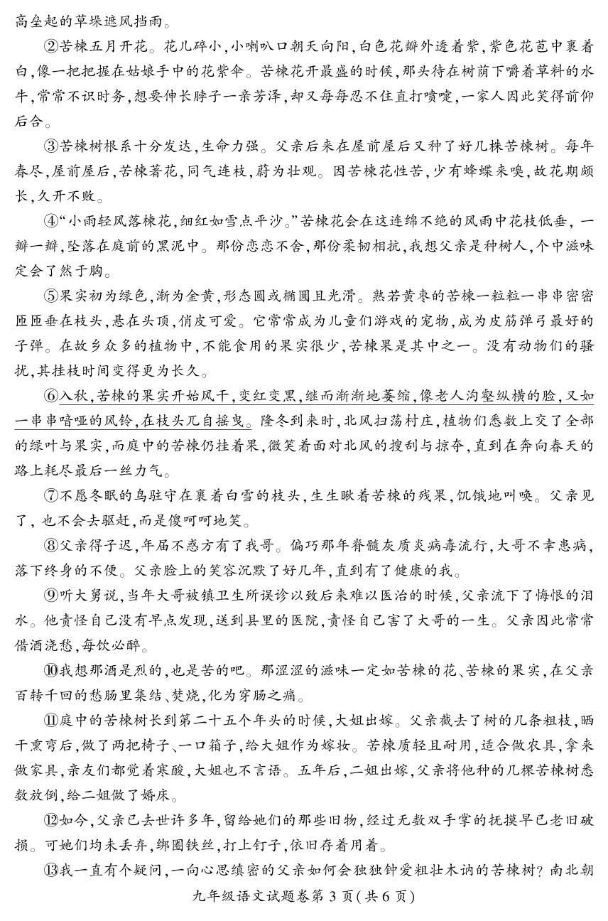 安徽省淮北市2024-2025学年九年级上学期期末自测语文试题