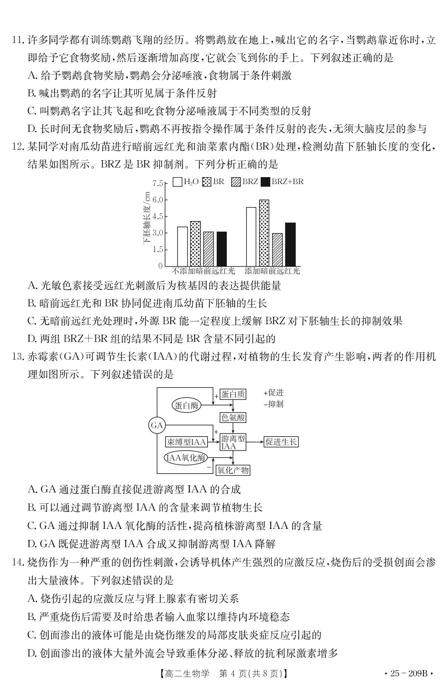 湖北省十堰市2024-2025学年高二上学期期末调研考试生物试卷