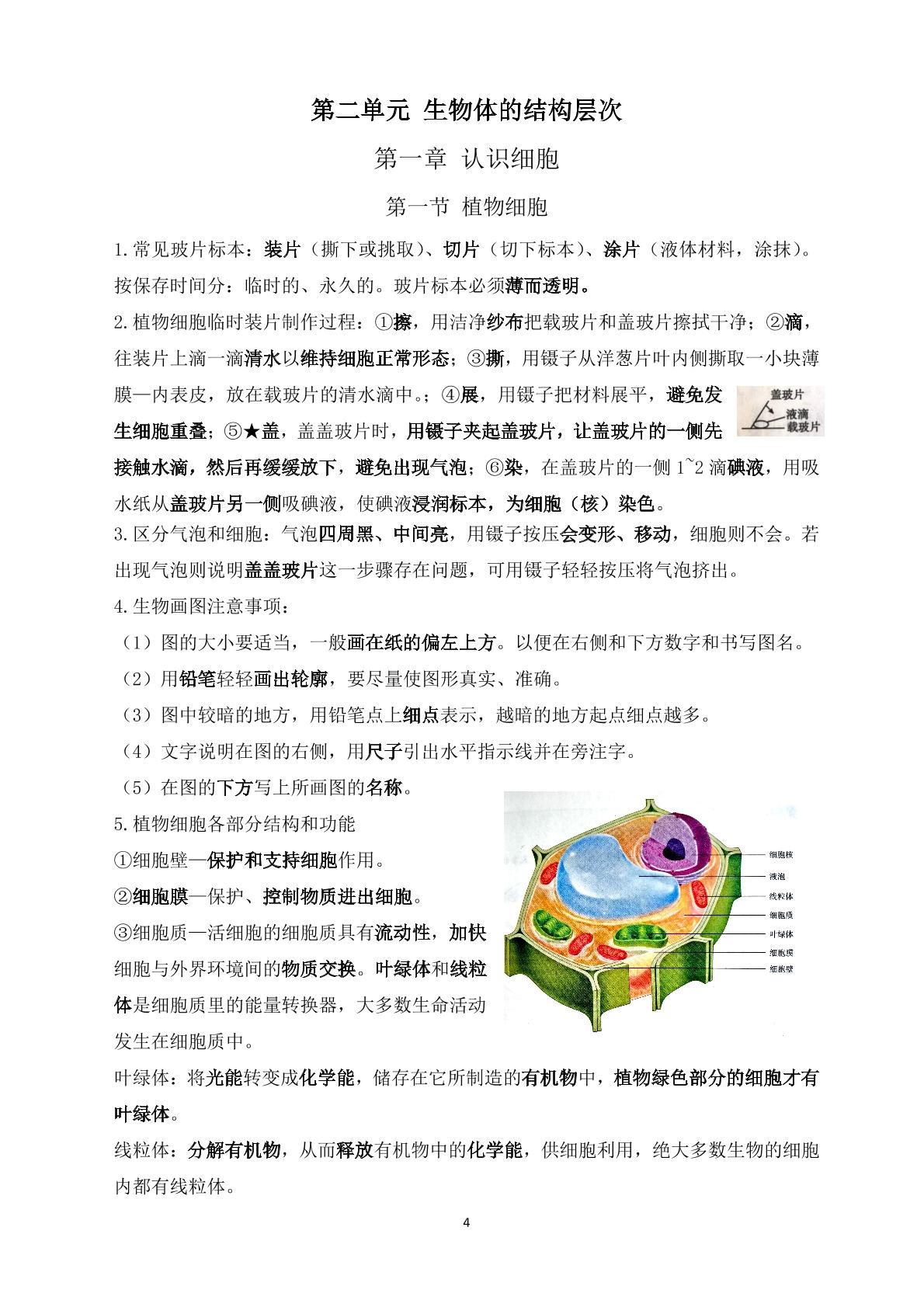 2024-2025学年鲁科版（五四制）生物六年级上册知识点总结   