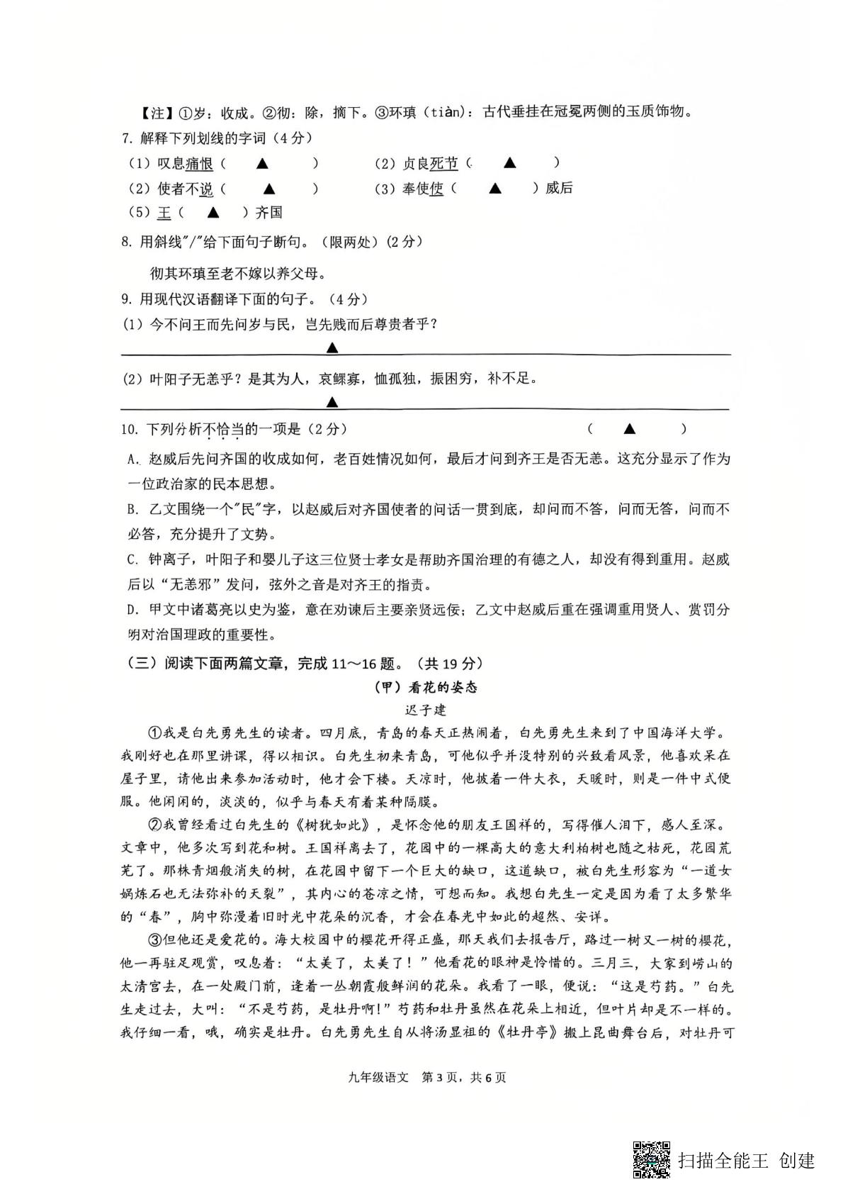 江苏省常州市北郊初级中学2024-2025学年九年级下学期新课结束学业水平调研语文试题