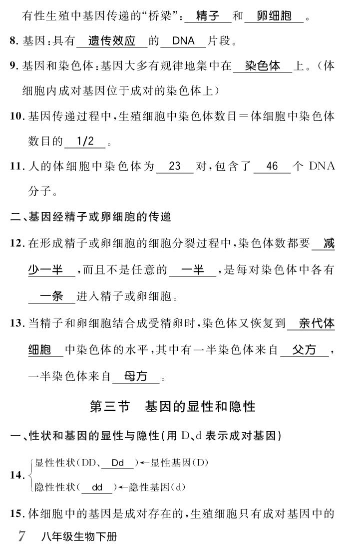第七单元 第二章 生物的遗传与变异（背记手册）-【名师学案】2024-2025学年八年级下册生物分层进阶学习法（人教版）