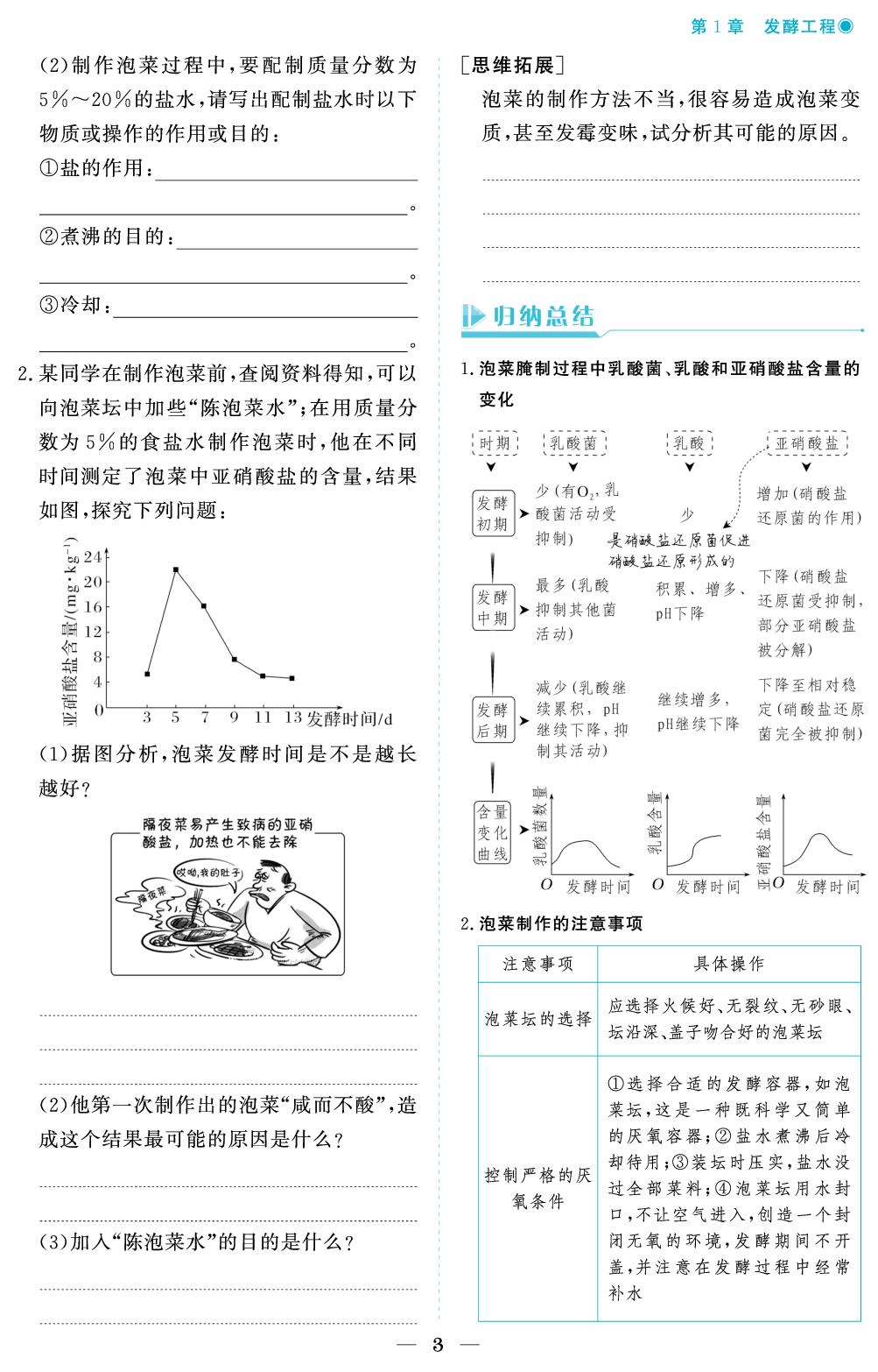 第1章 第1节 传统发酵技术的应用-【精讲精练】2024-2025学年高中生物选择性必修3 生物技术与工程同步学习方案（人教版2019）