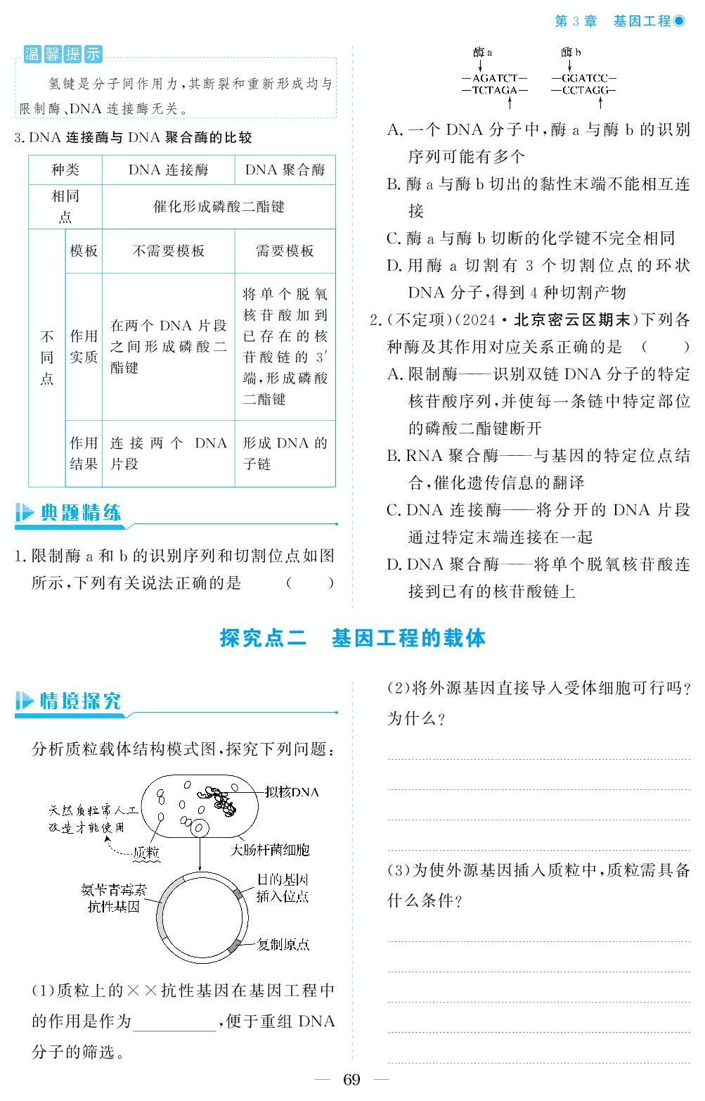 第3章 第1节 重组DNA技术的基本工具-【精讲精练】2024-2025学年高中生物选择性必修3 生物技术与工程同步学习方案（人教版2019）