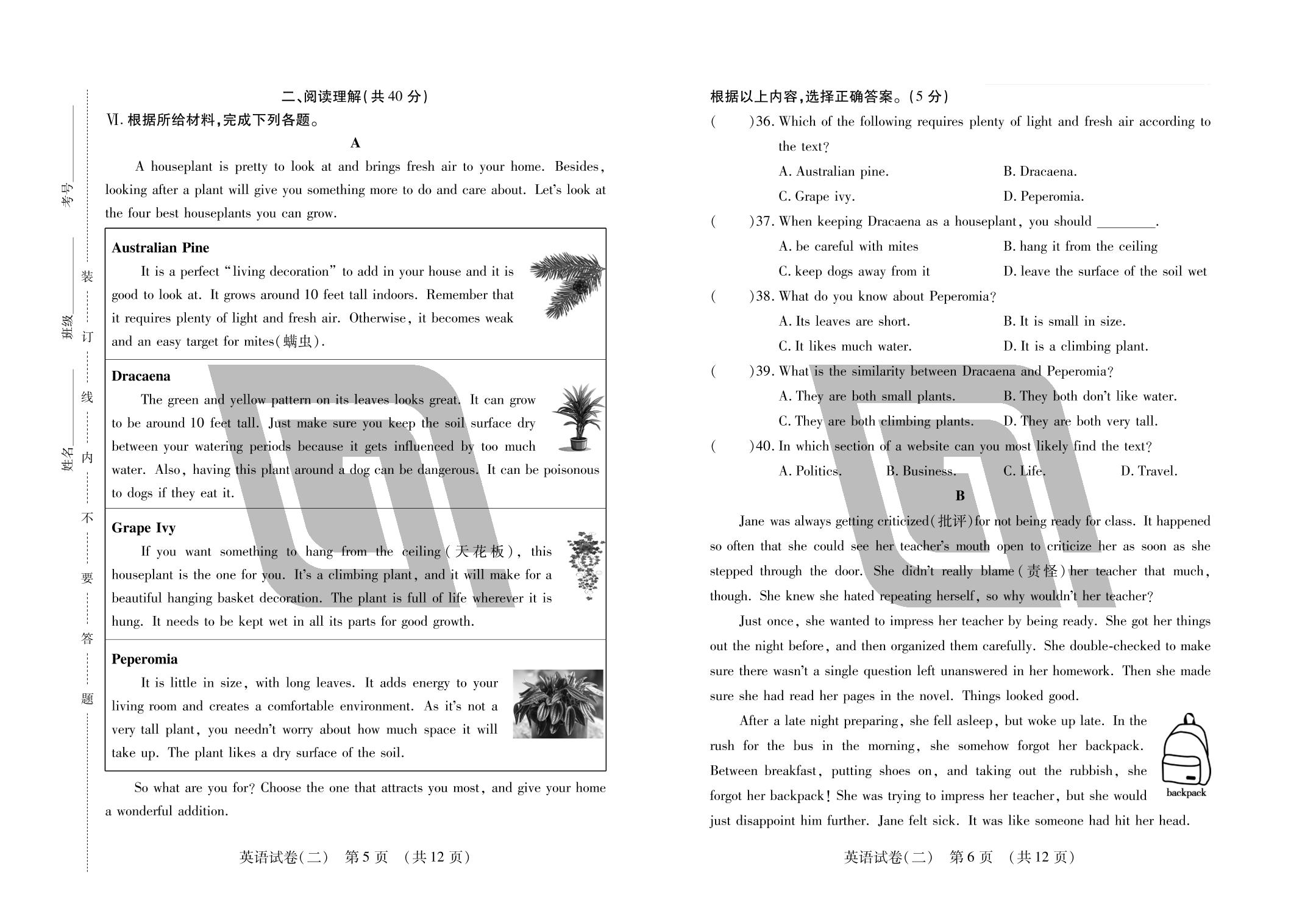 英语试卷(二)-【中考123】2025年中考英语仿真大联考（吉林省专用）