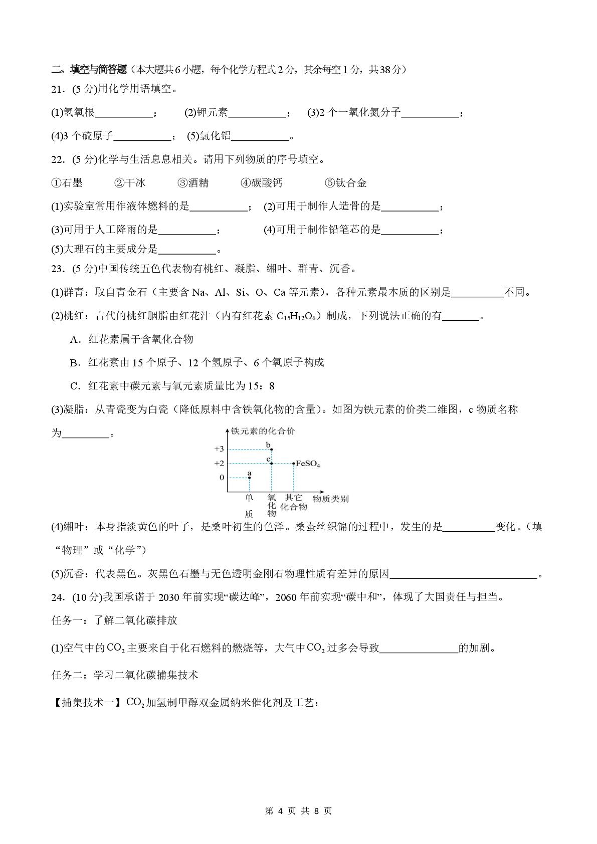 广西南宁市天桃实验学校2024-2025学年九年级下学期4月月考化学试题