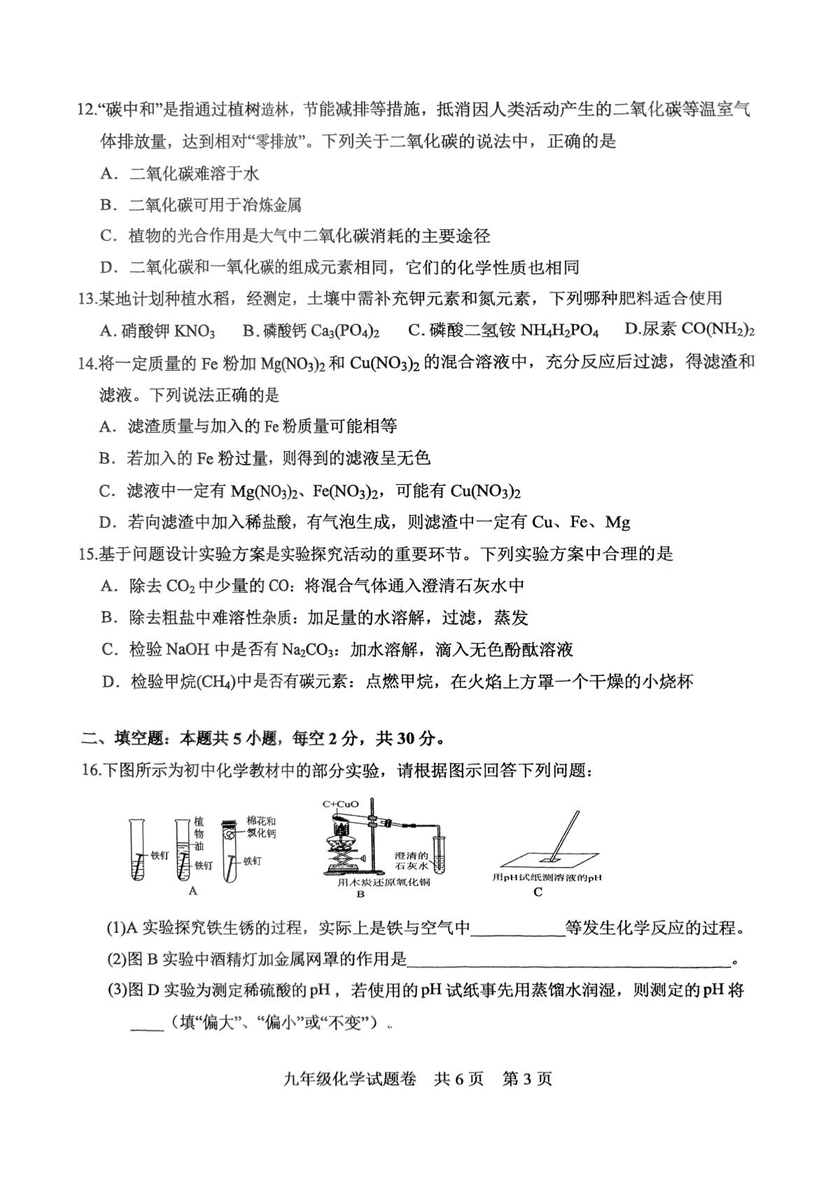 湖南省常德市临澧县2024--2025学年九年级下学期期中质量监测化学试卷
