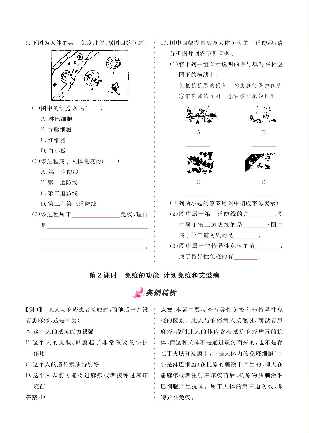 8.1.2 免疫与计划免疫-2024-2025学年八年级下册生物同步辅导（人教版）