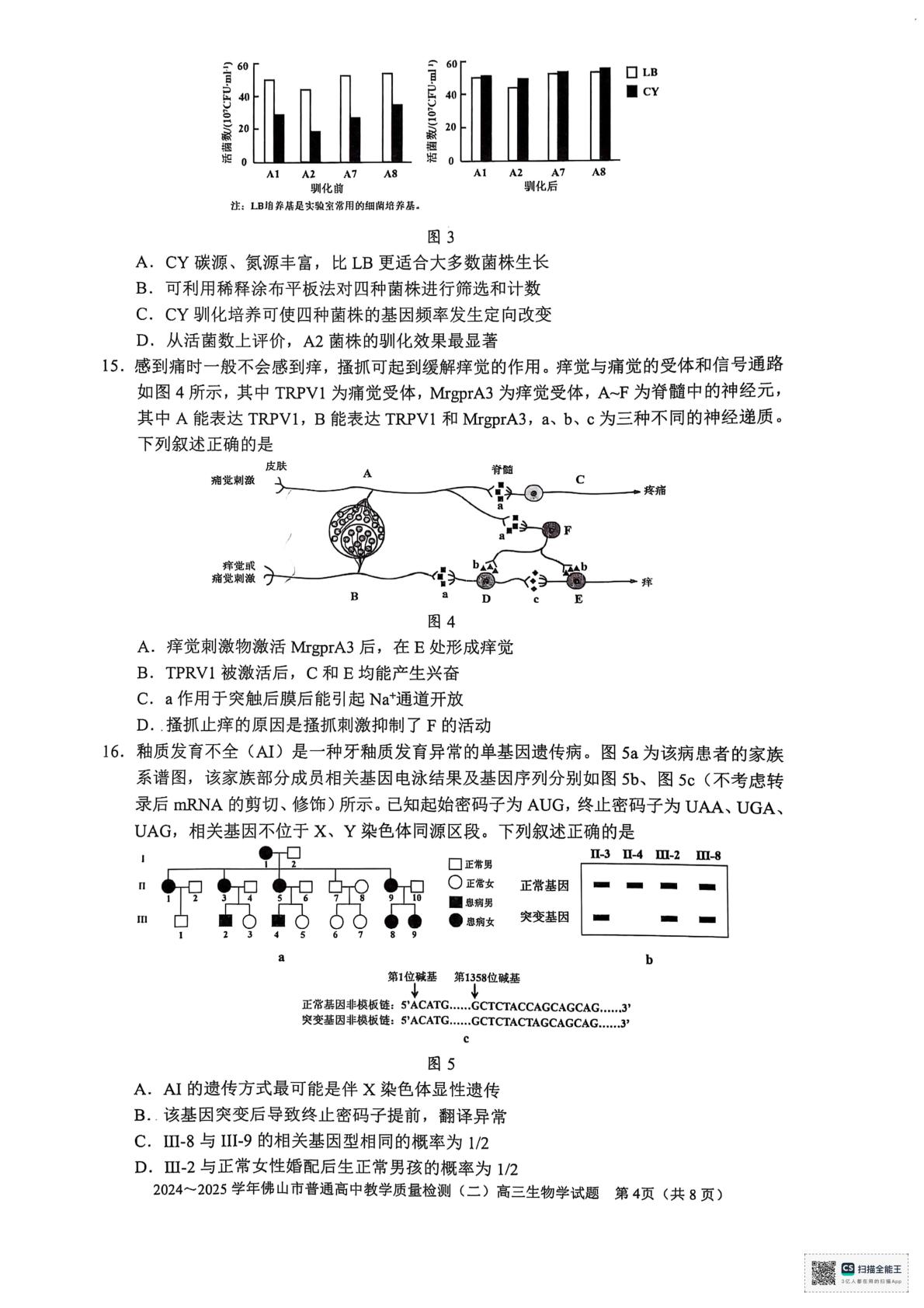 2025届广东省佛山市普通高中高三下学期4月教学质量检测(二) 生物学试题