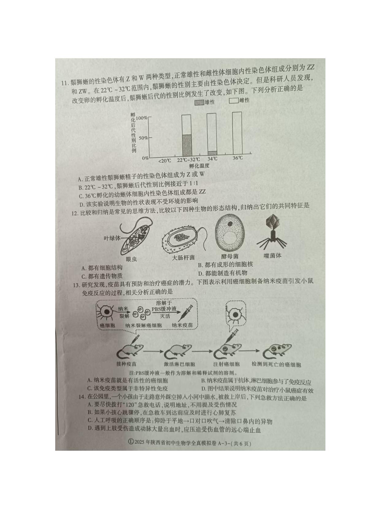 陕西省商洛市商南县丹南三校2024-2025学年八年级下学期4月期中生物试题