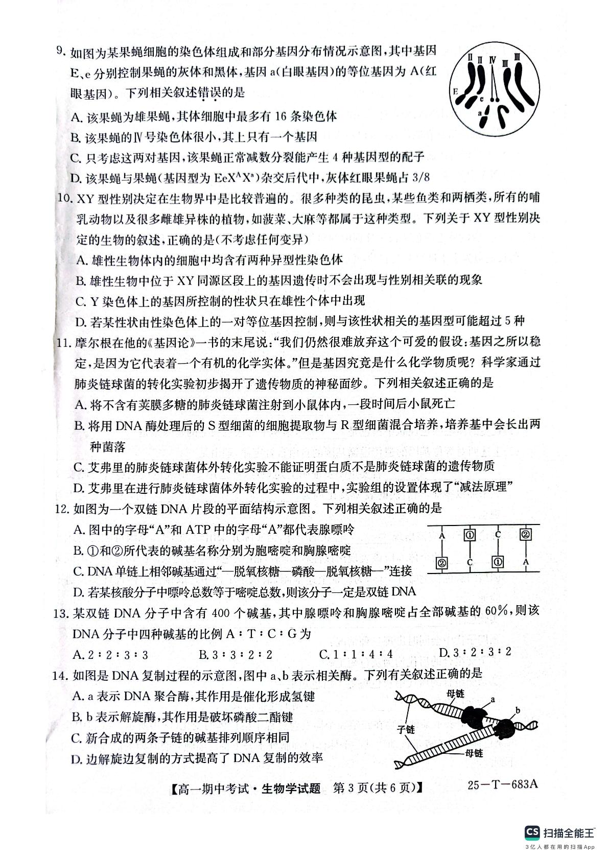 陕西省榆林市府谷县第一中学2024-2025学年高一下学期4月期中生物试题