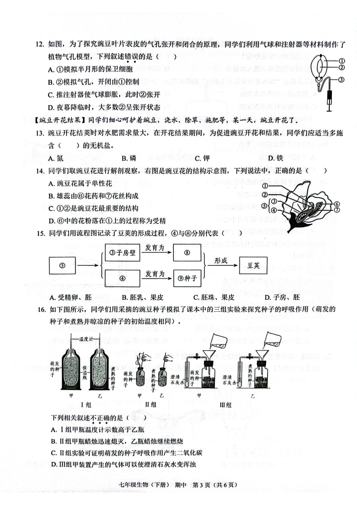 广东省深圳市龙岗区宏扬学校2024-2025学年七年级下学期4月期中生物试题