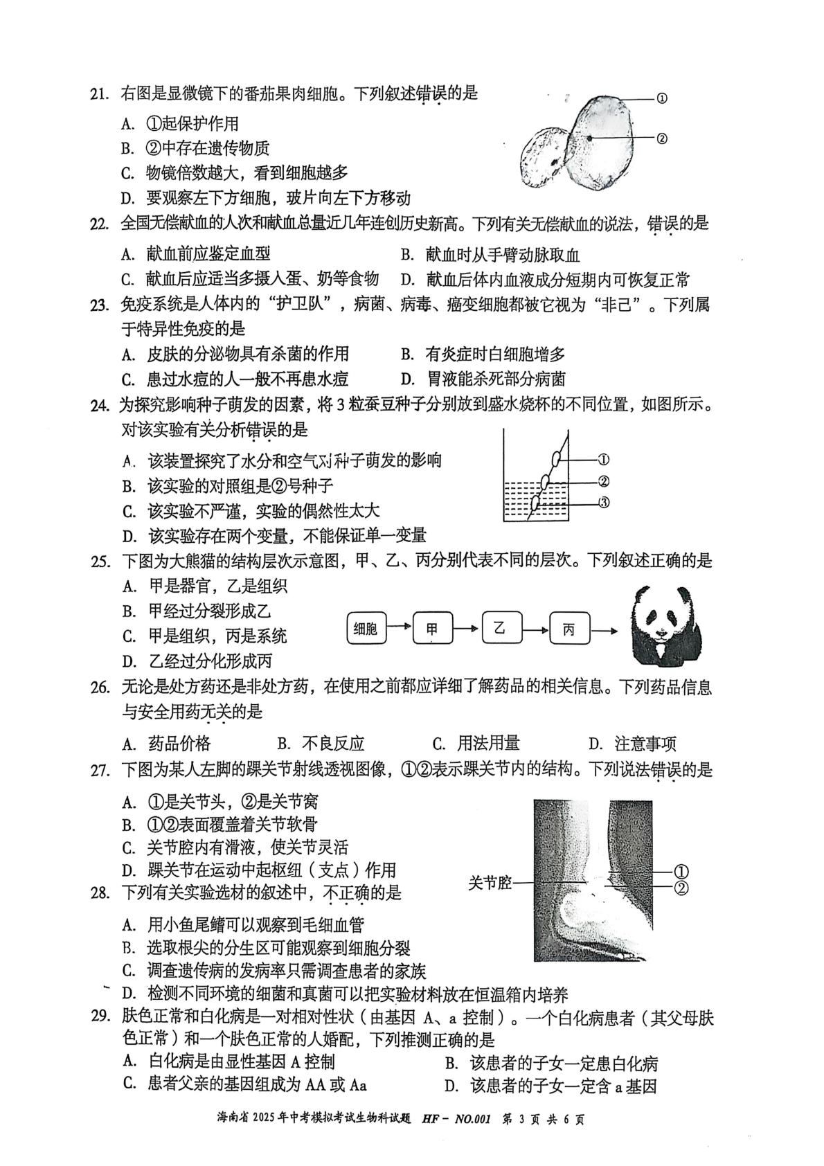 海南省省直辖县级行政单位乐东黎族自治县四校联考2024-2025学年八年级下学期4月期中生物试题