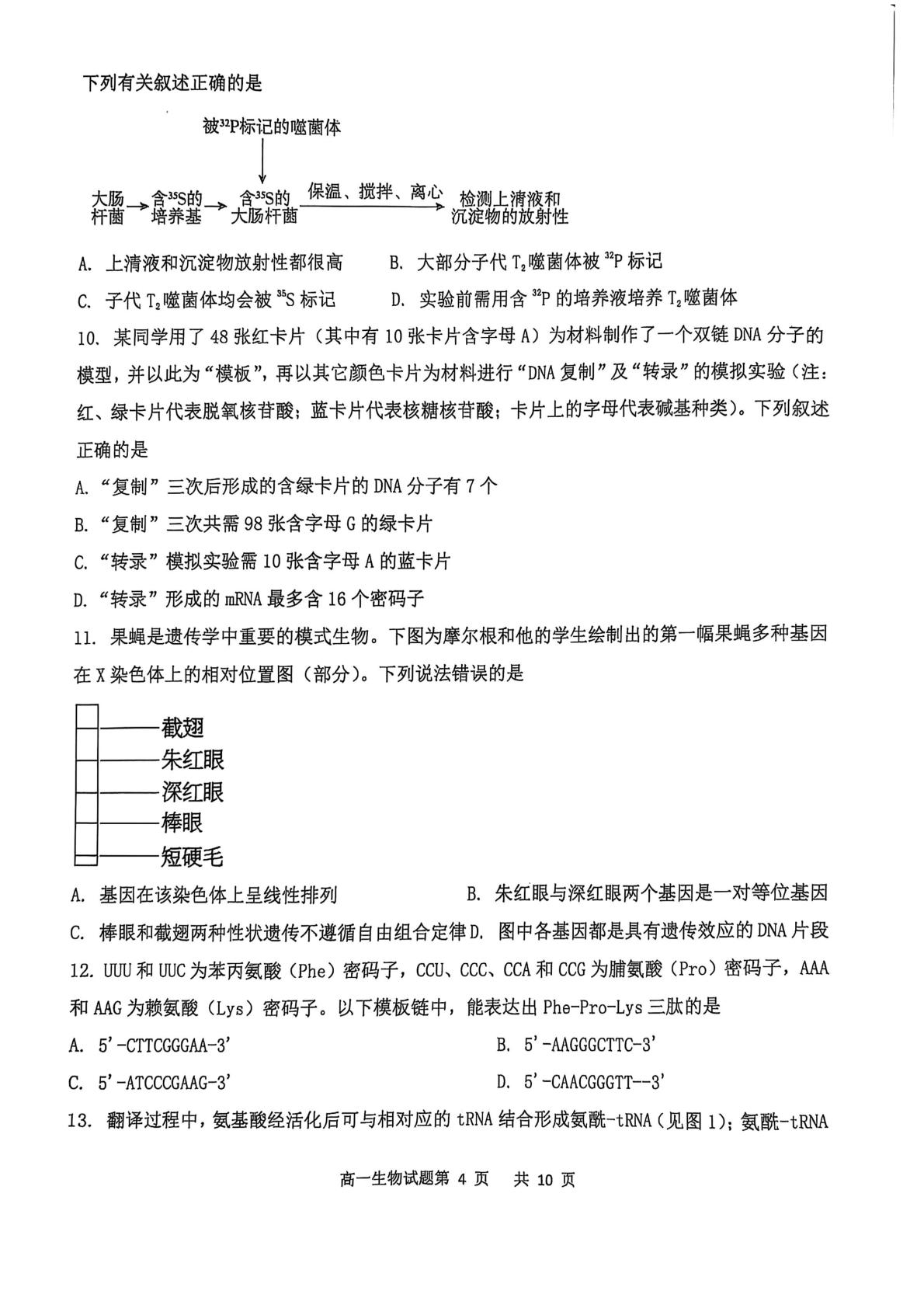 辽宁省锦州市某校2024-2025学年高一下学期期中生物试卷
